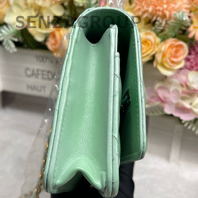CHANEL 23P Rainbow Handle Green Lambskin WOC Chain Shoulder Bag