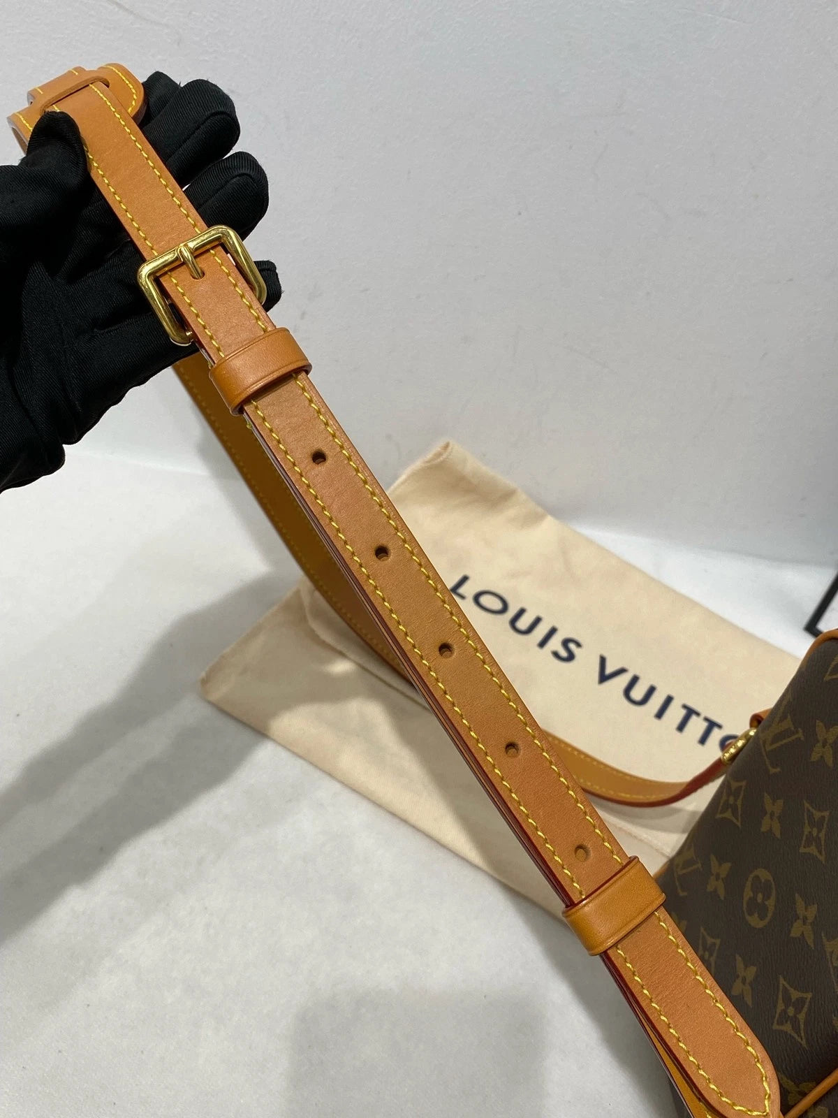 Louis Vuitton Amazone Double Layer Crossbody Camera Bag For Women