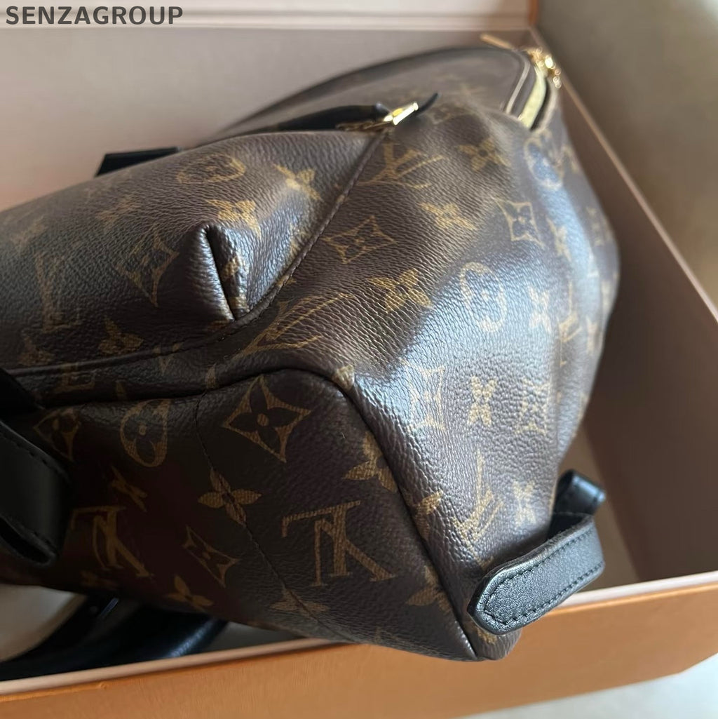 Louis Vuitton Palm Springs Backpack MM Monogram Brown Black Unisex