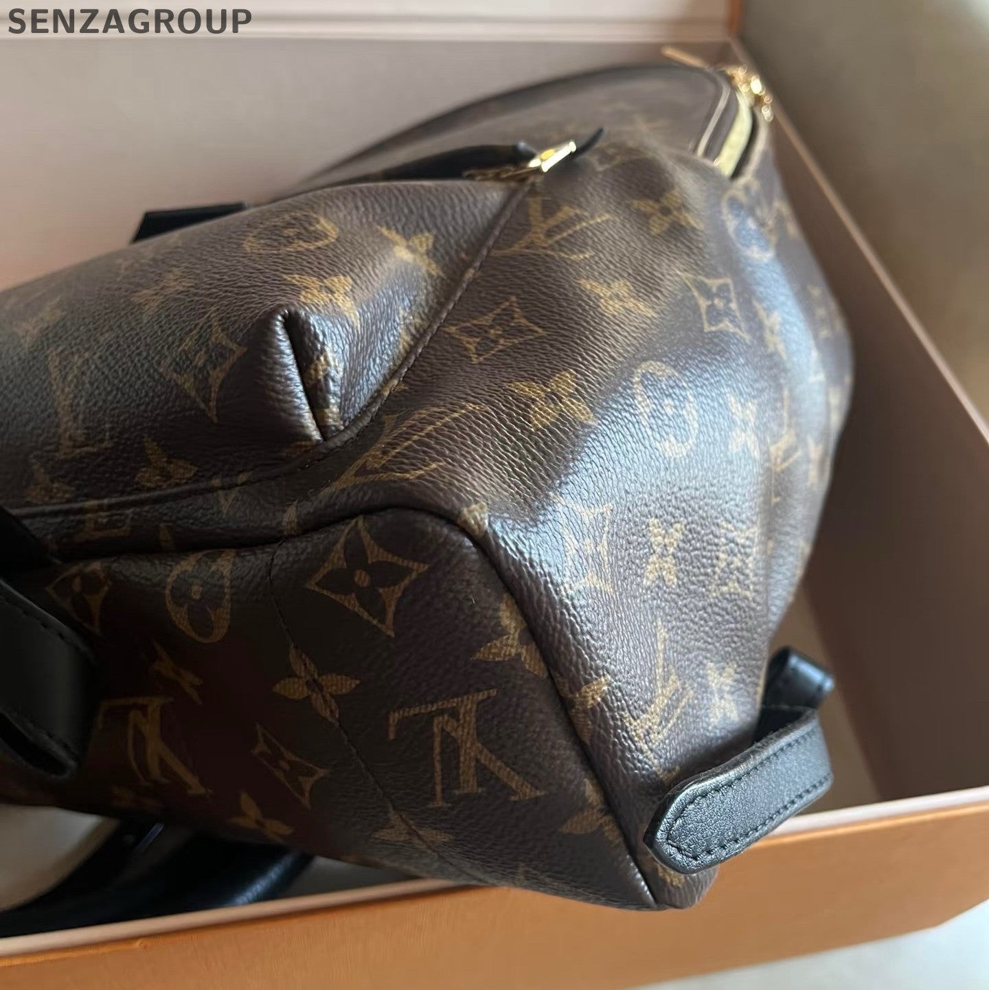 Louis Vuitton Palm Springs Backpack MM Monogram Brown Black Unisex