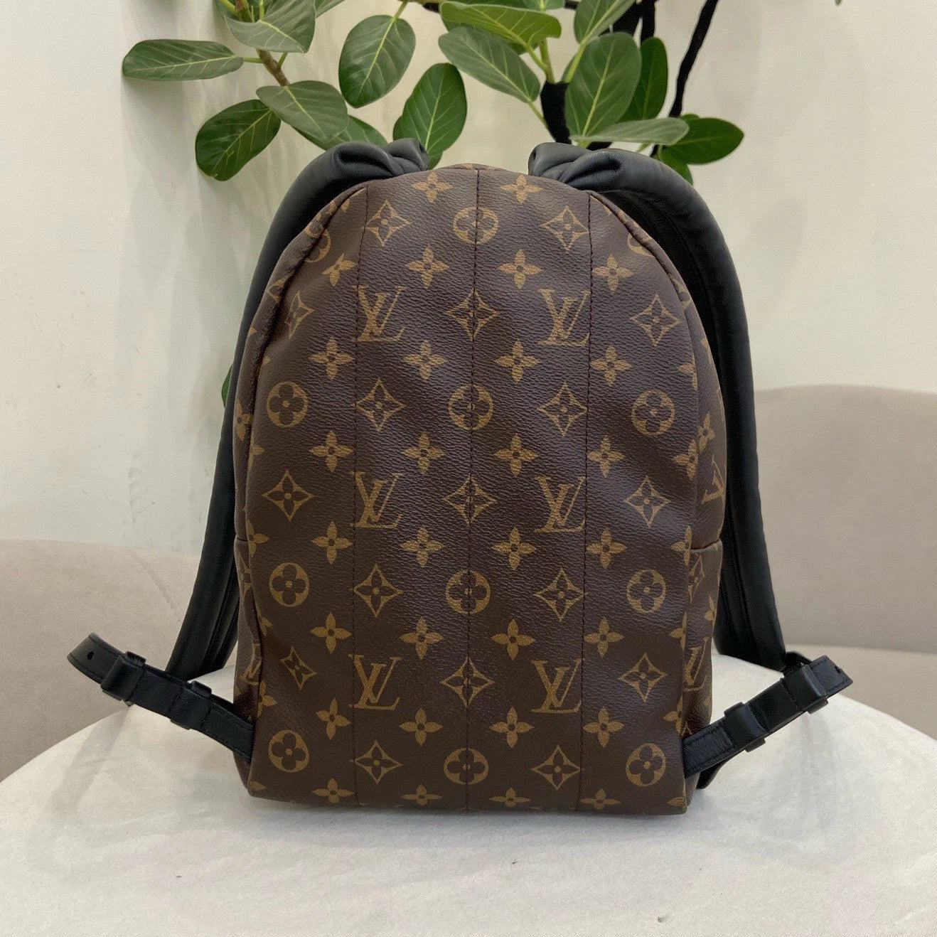 Louis Vuitton Palm Springs PM Monogram Backpack Brown Gold Unisex Adults Classic