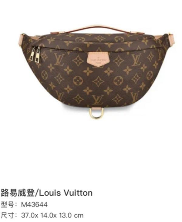 SJ0001  Louis Vuitton coated canvas Belt Bags LV bumbag
