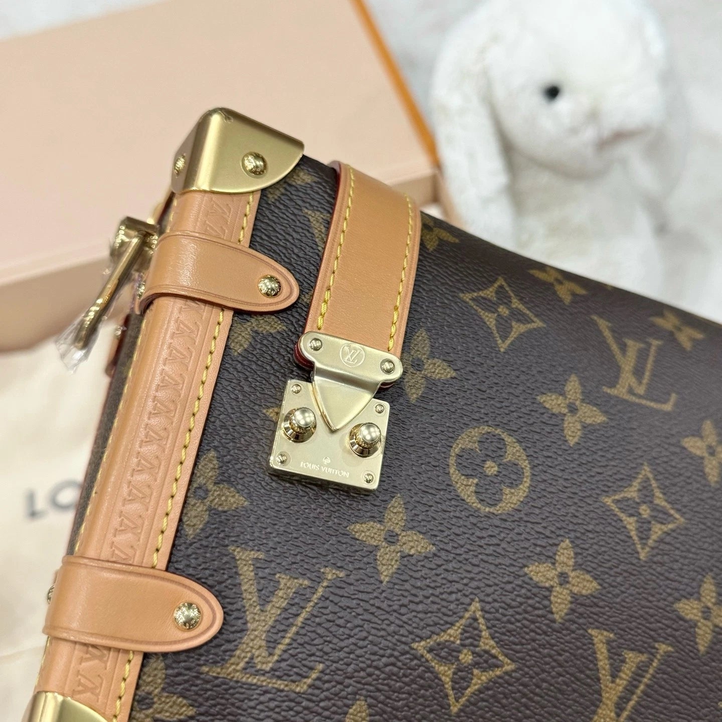 Louis Vuitton Calfskin Side Trunk MM Shoulder Bag For Women