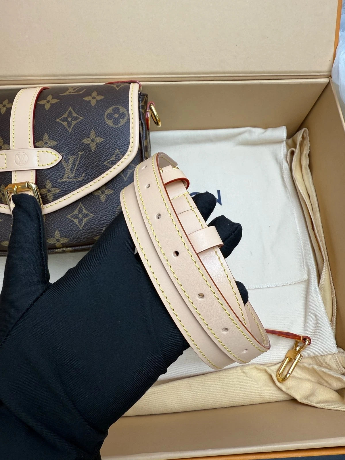 Louis Vuitton Twin Shoulder Bag For Women