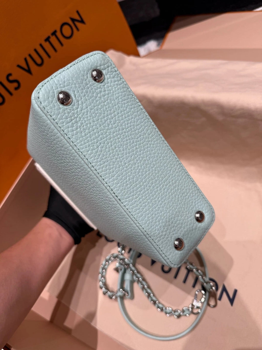 Louis Vuitton Capucines Mini Water Snake Leather Bag For Women