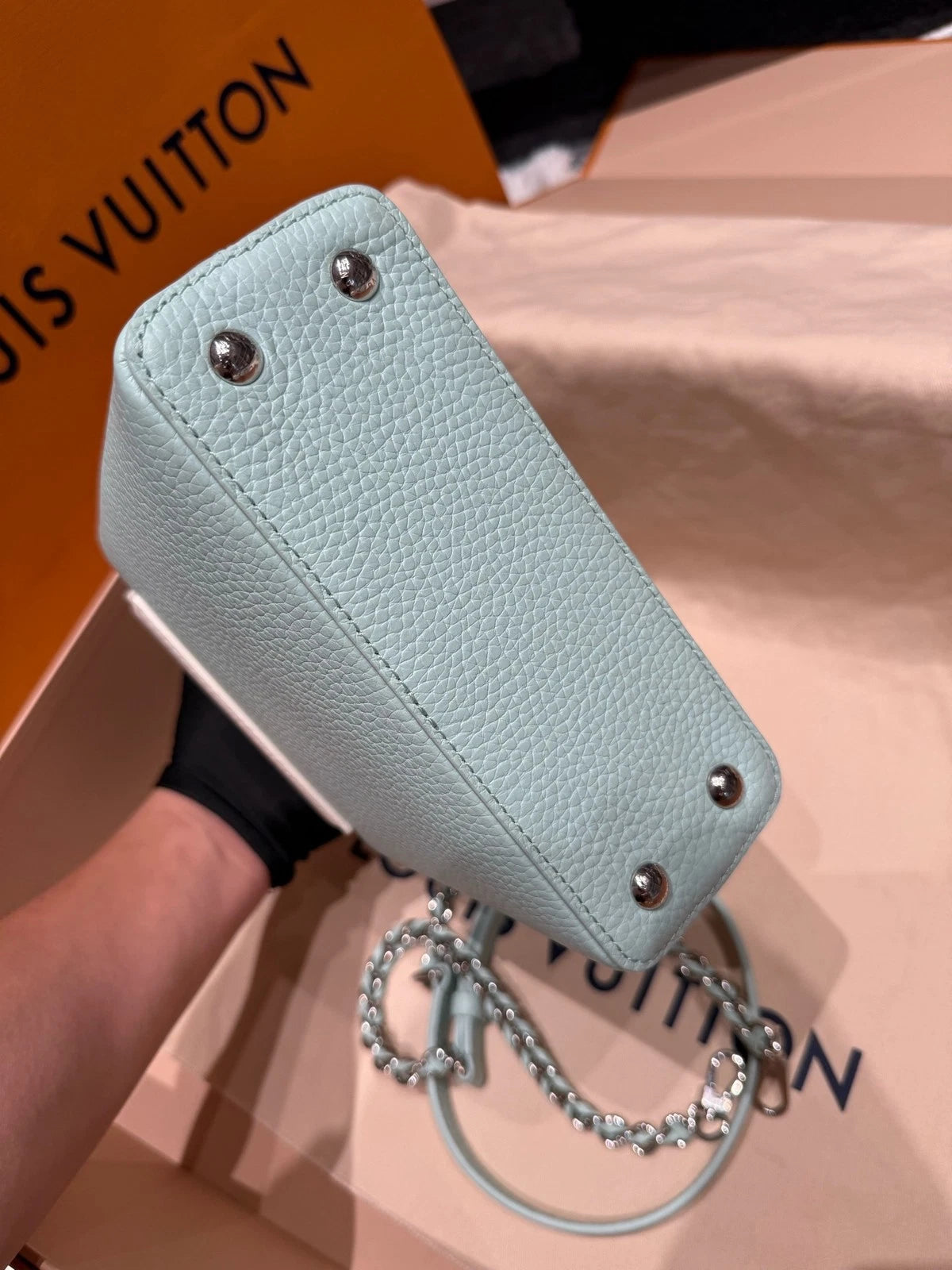 Louis Vuitton Capucines Mini Water Snake Leather Bag For Women