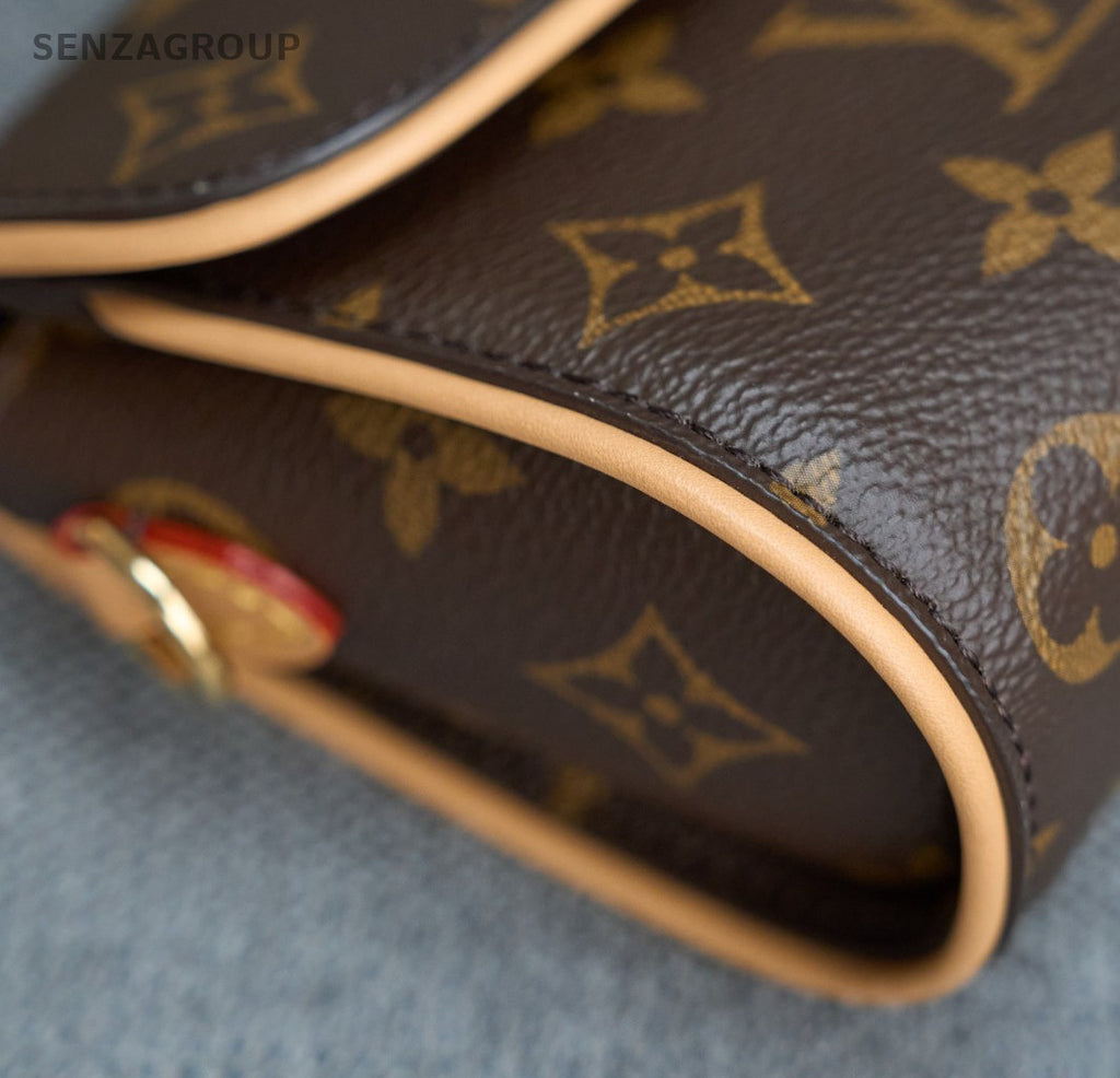 Louis Vuitton Pochette Camille Monogram Chain Crossbody Bag Brown Women Classic