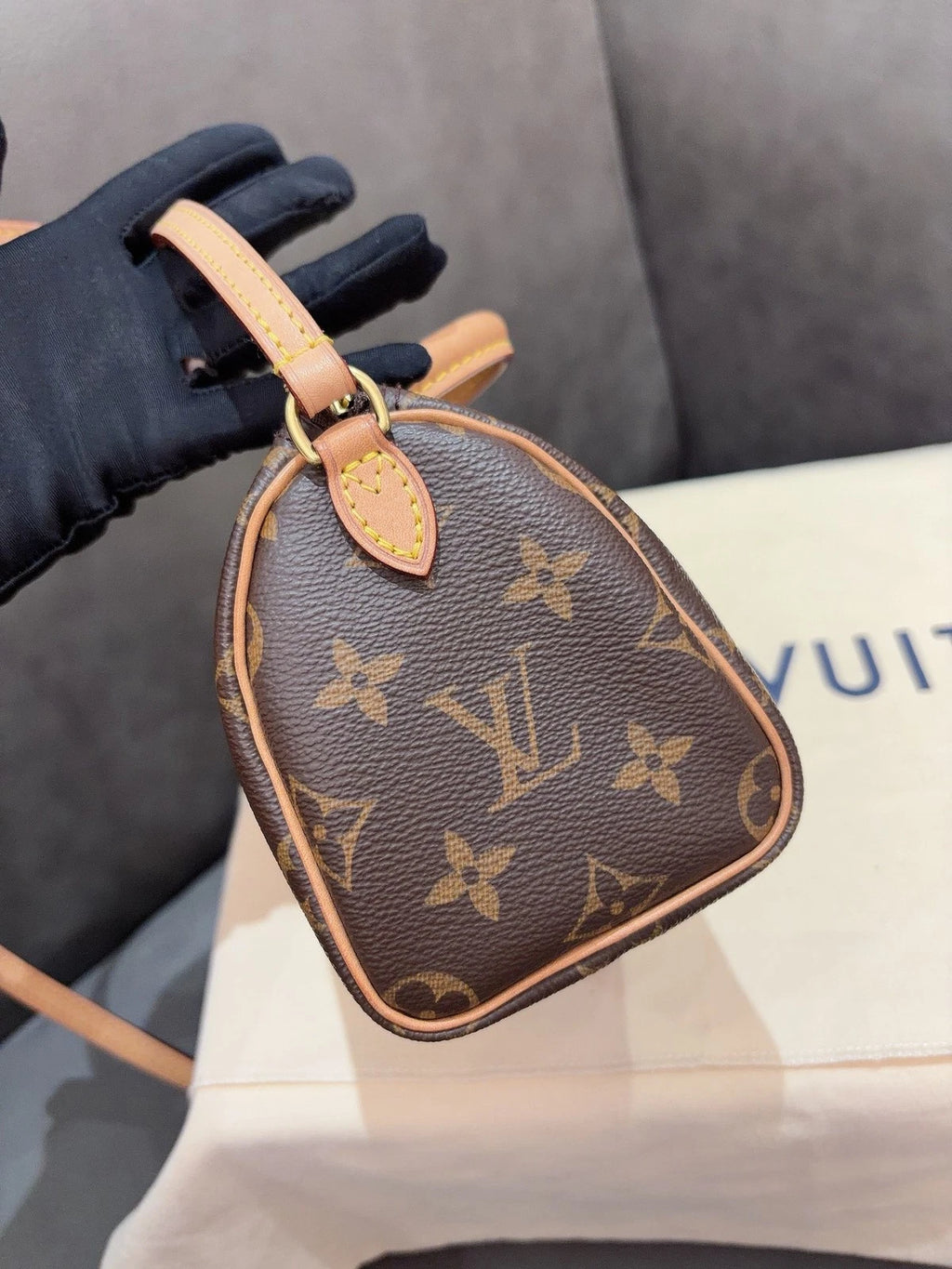 Louis Vuitton Speedy Nano Top Handle Shoulder Crossbody Bag Brown Women