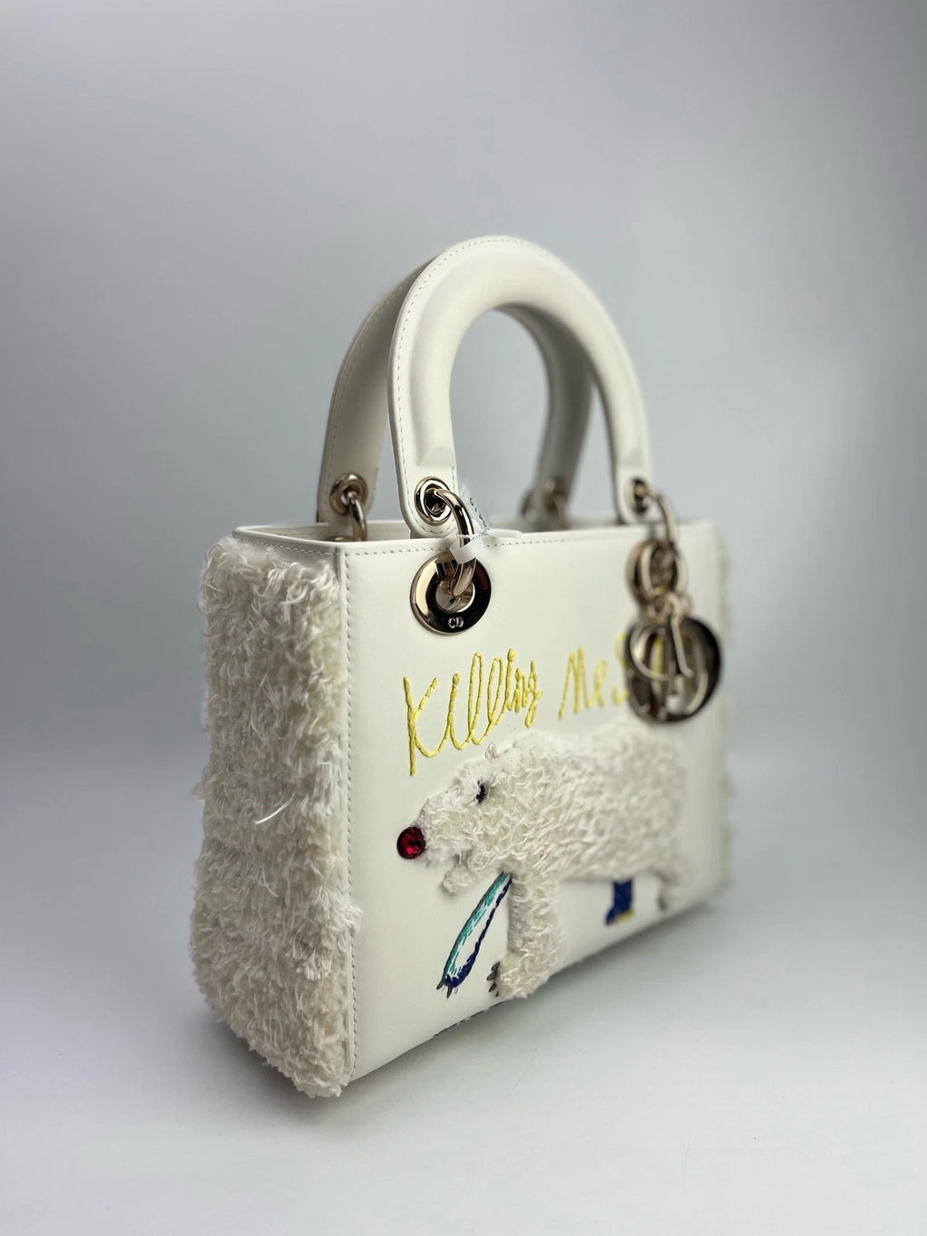 Dior Lady Dior Artist Limited Edition Ruby Handbag For Women