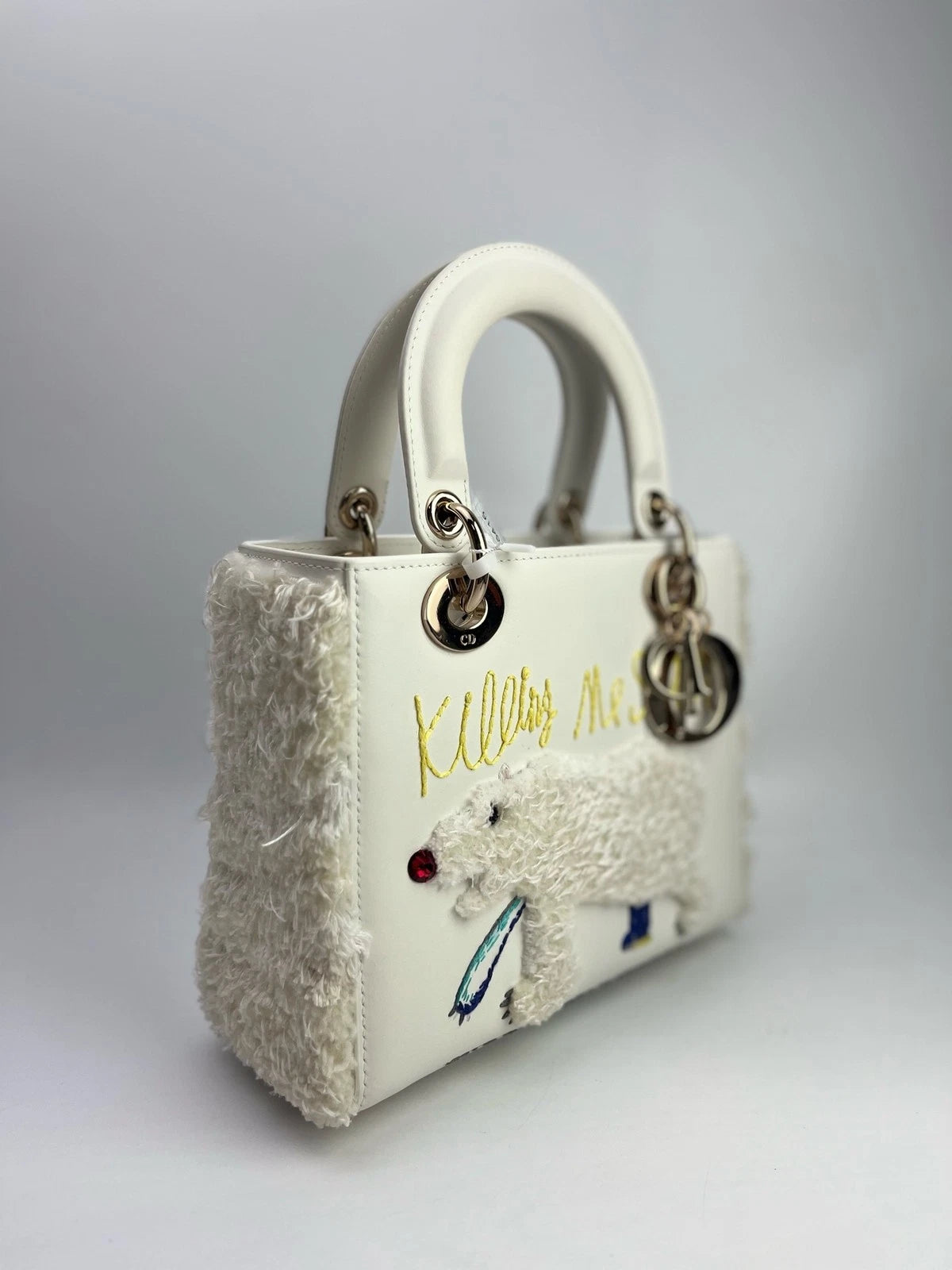 Dior Lady Dior Artist Limited Edition Ruby Handbag For Women