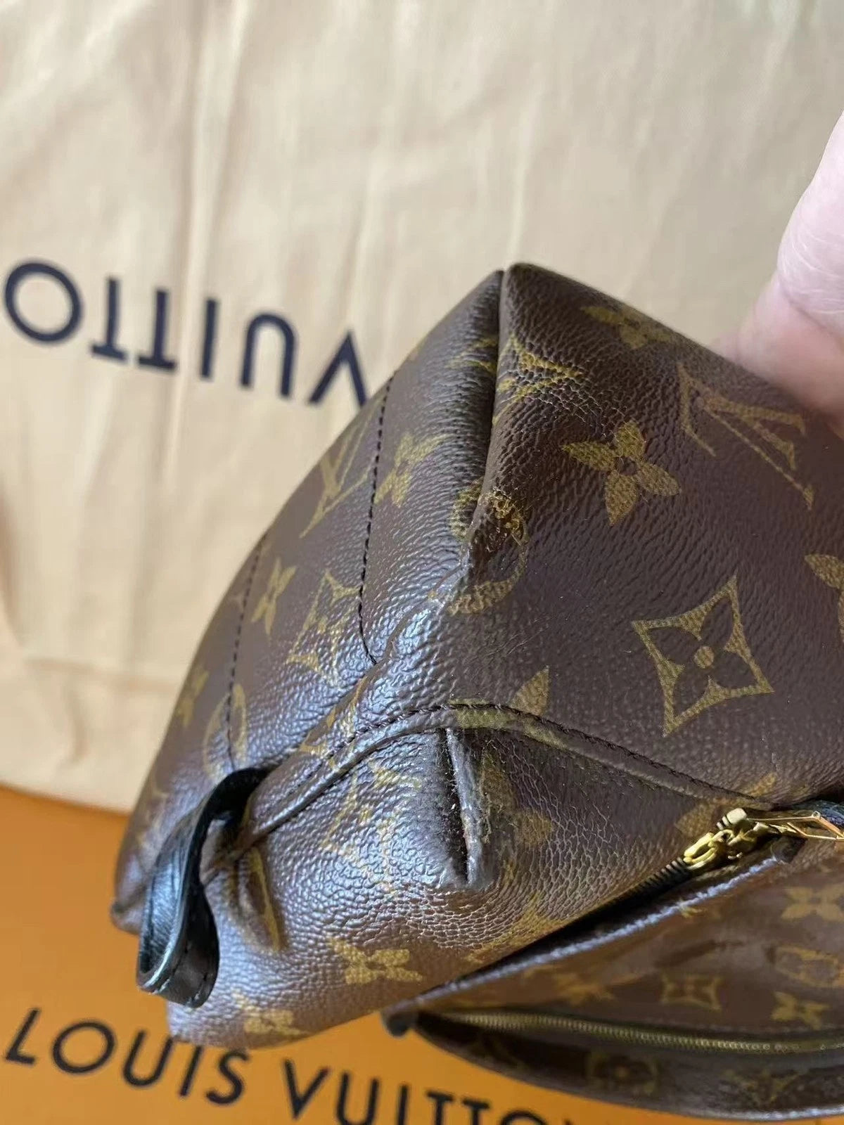 Louis Vuitton Monogram Canvas Palm Springs Mini Backpack