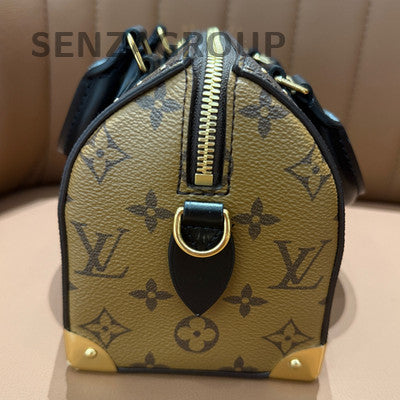 Louis Vuitton Speedy Trunk Monogram Brown Handbag with Chain Strap