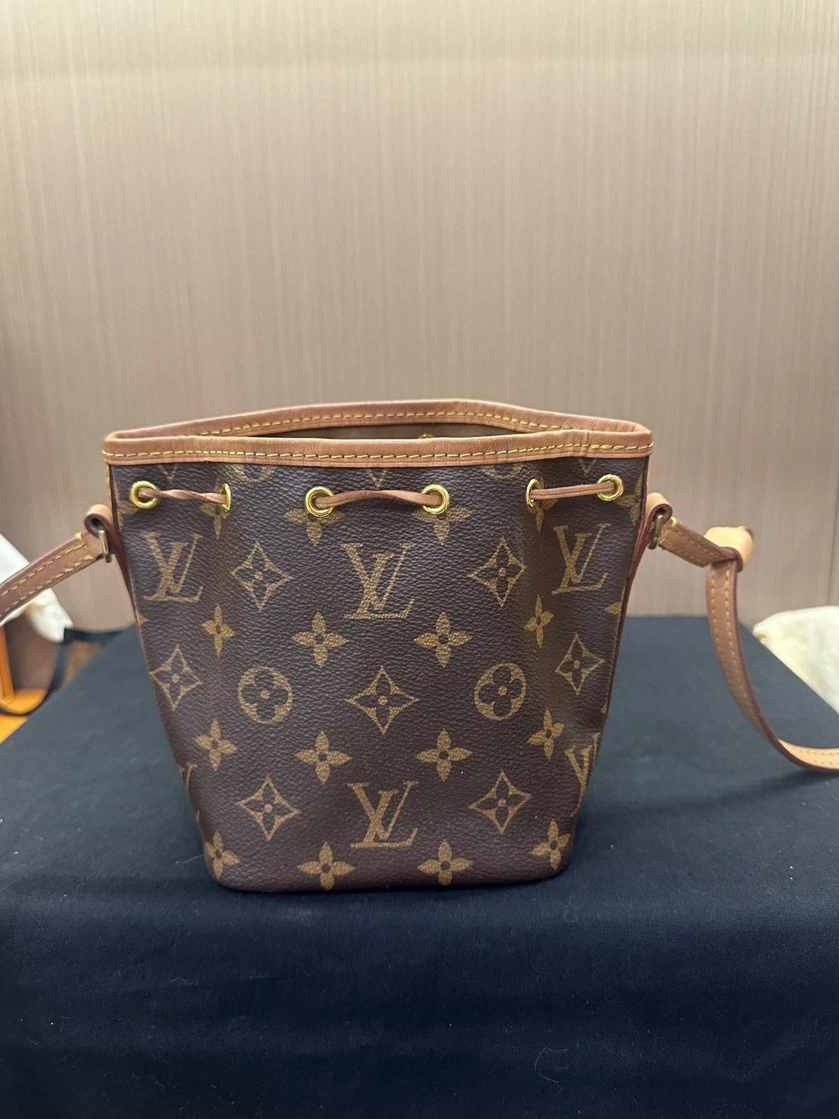 Louis Vuitton Nano Noe Monogram Canvas Bucket Bag for Women