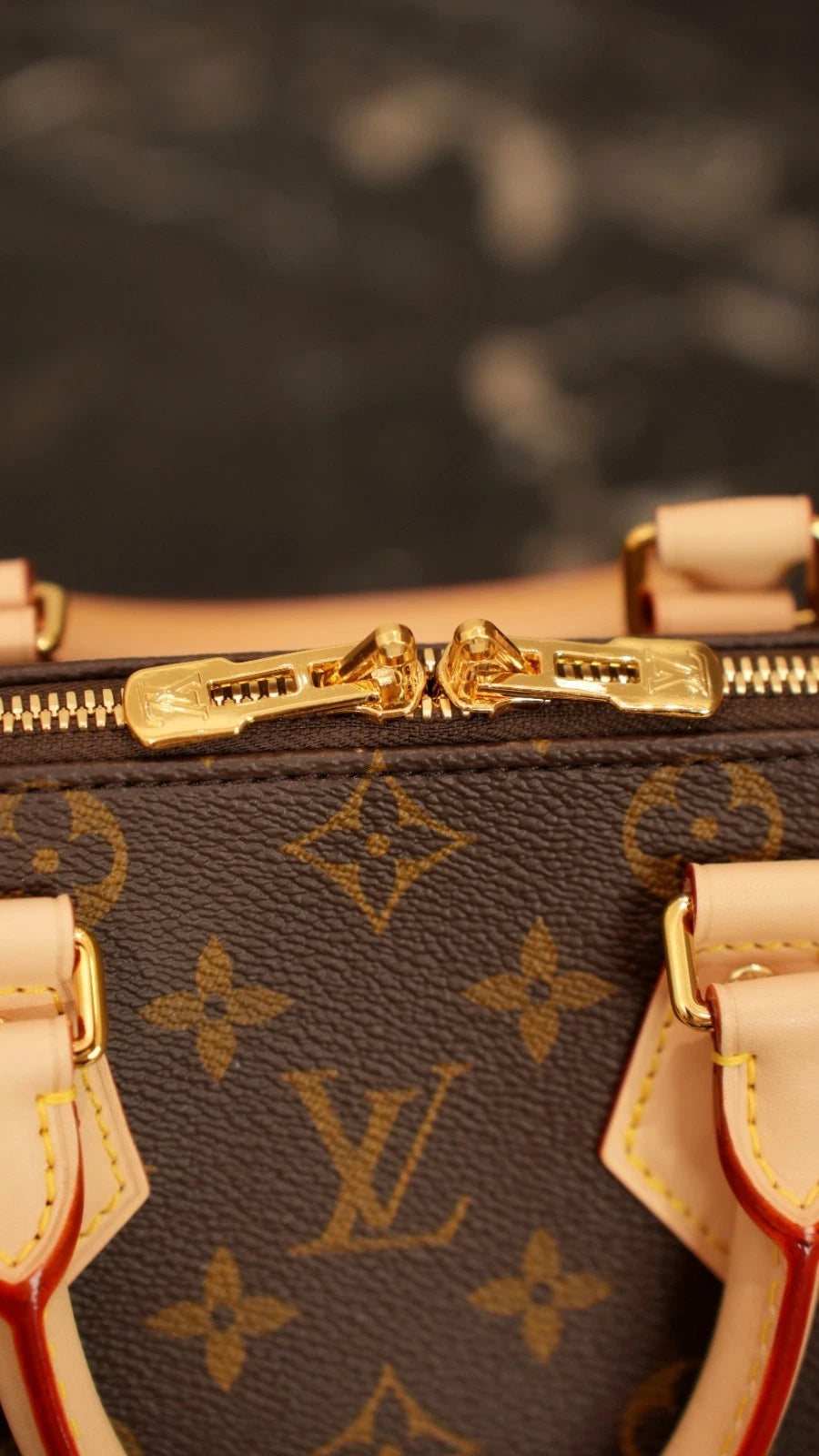 Louis Vuitton Speedy20 Monogram Canvas Excellent