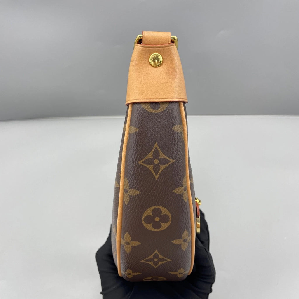 Louis Vuitton Canvas Pea Shoulder Bag For Women