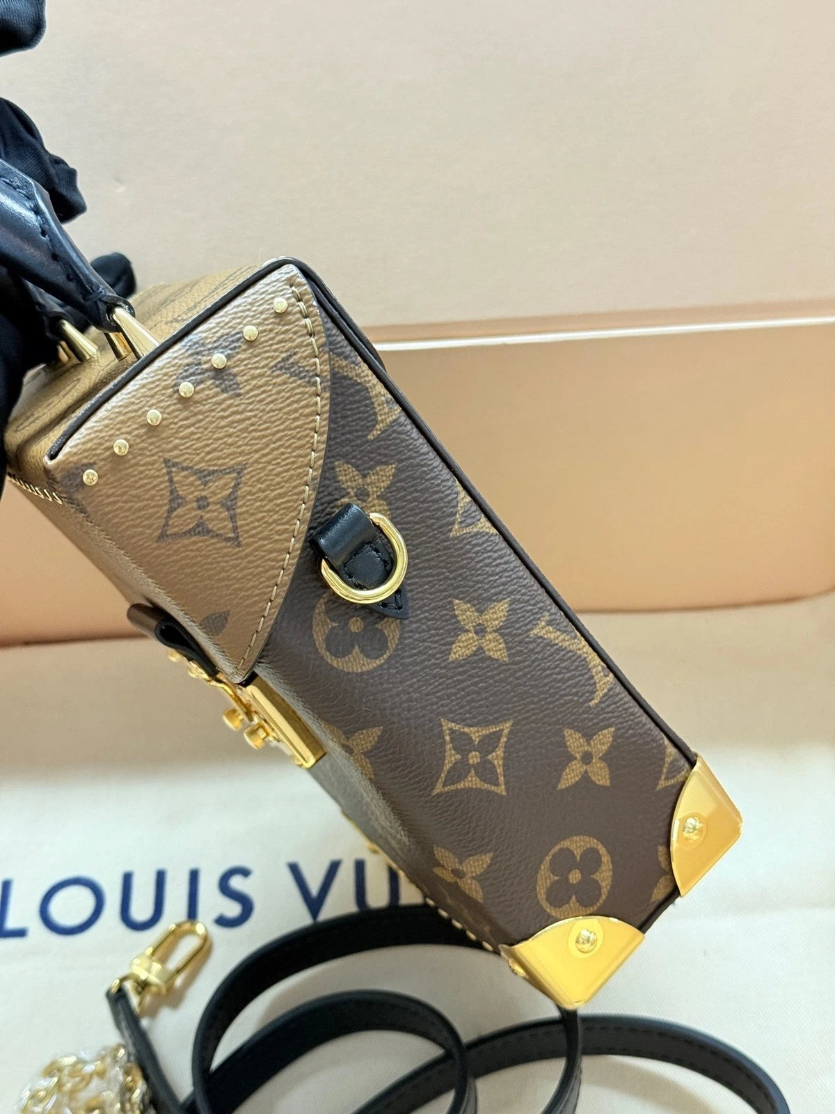 Louis Vuitton Leather Camera Box Crossbody Bag For Women