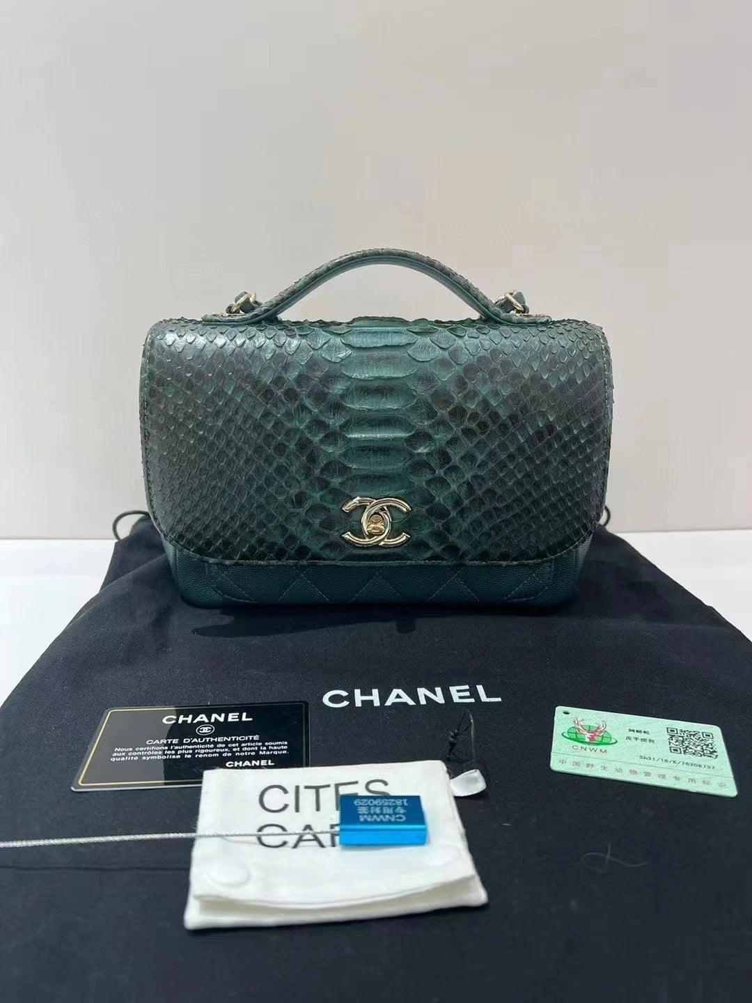 CHANEL Limited Green Patchwork Crossbody Bag For Women