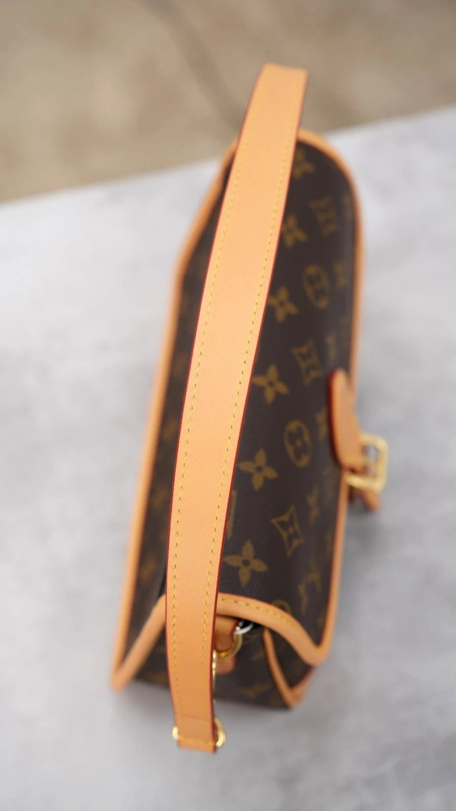 Louis Vuitton Diane Monogram Shoulder Bag Crossbody Excellent