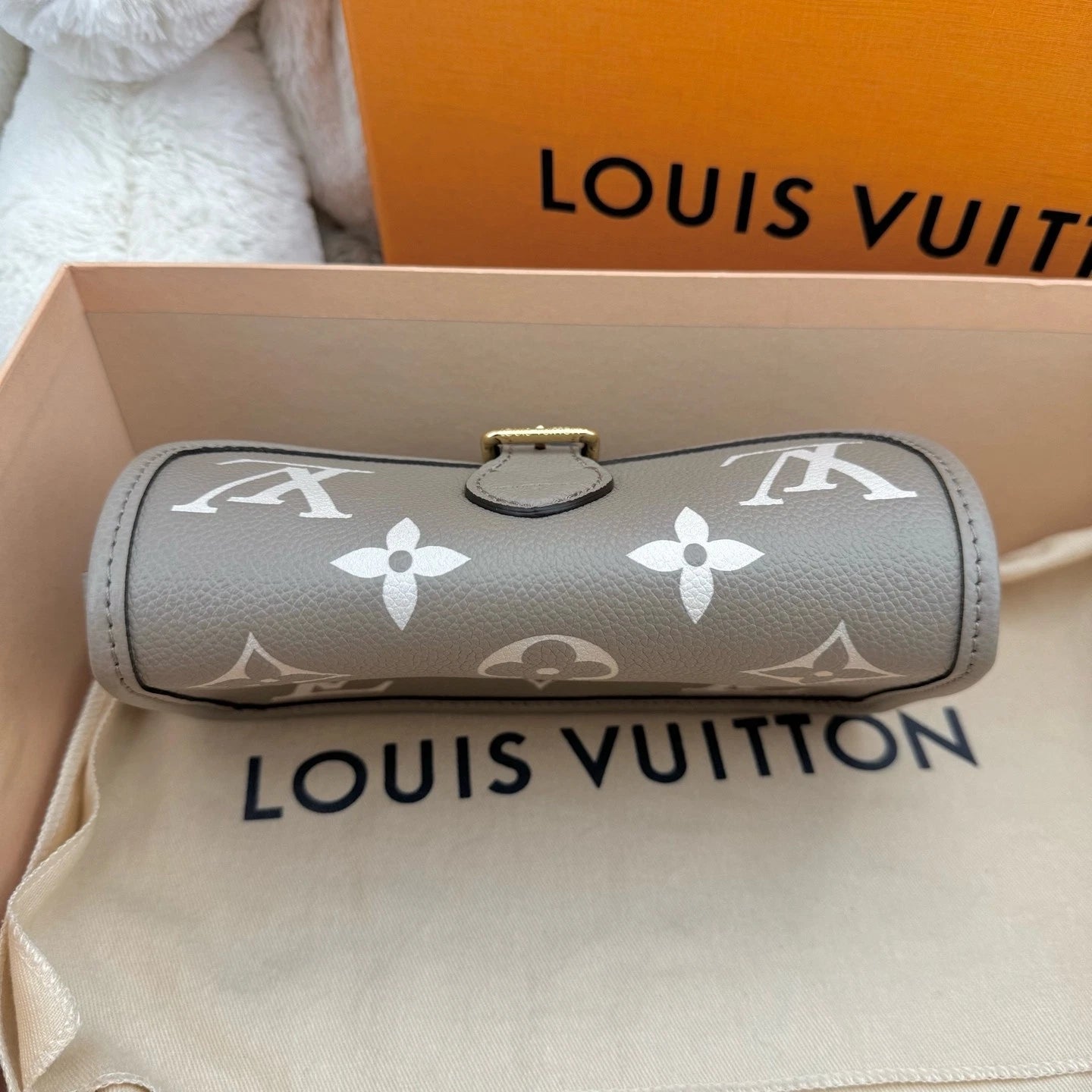 Louis Vuitton Diane Monogram Gray Shoulder Bag Excellent