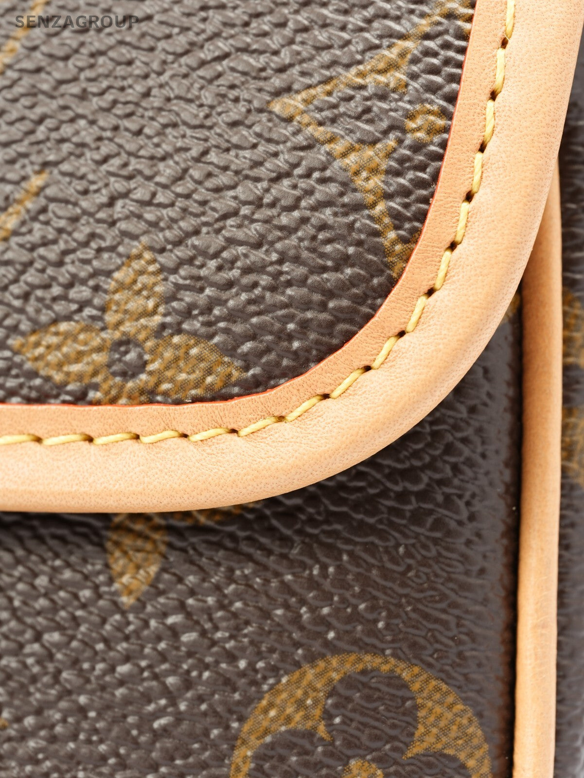 Louis Vuitton Monogram NANO Diane M83298
