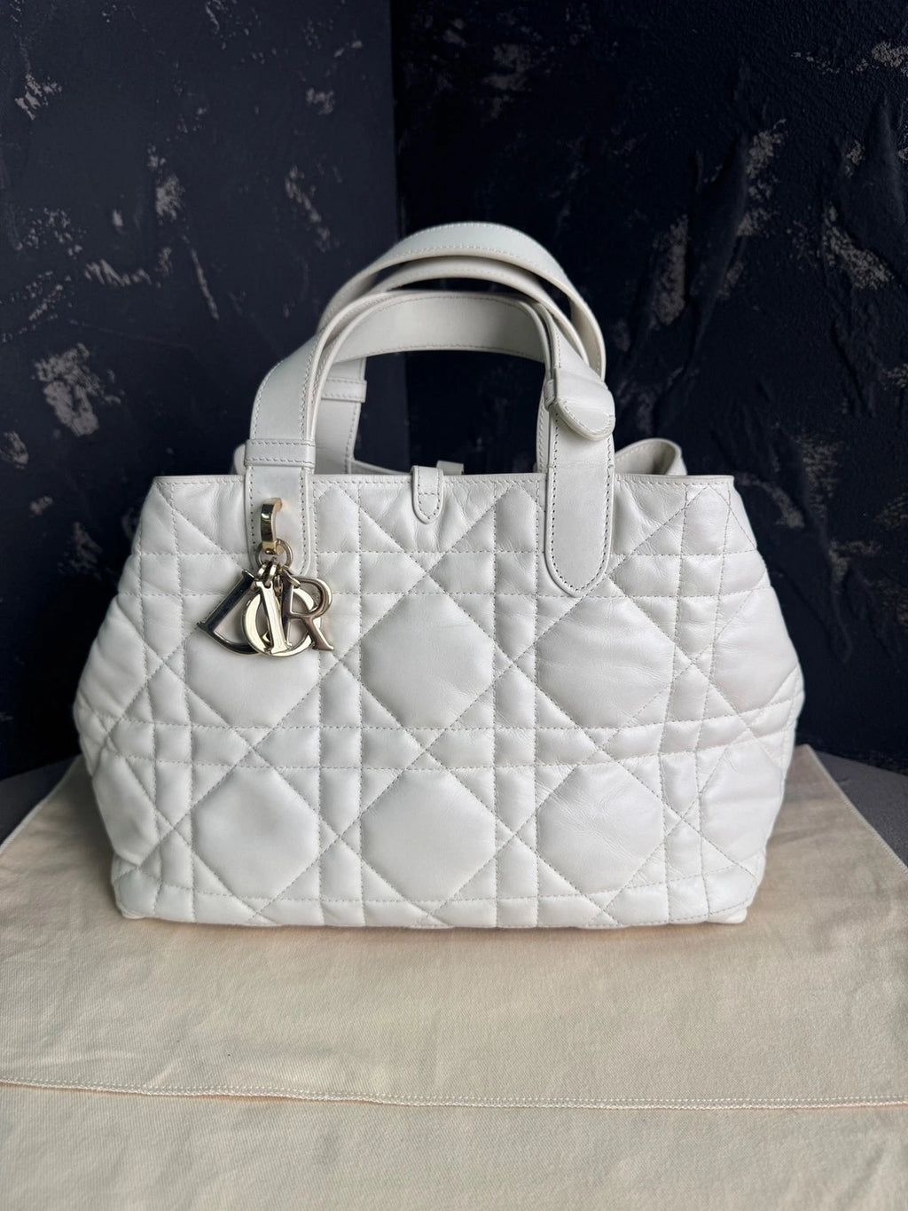 Dior Medium Leather Tote Bag For Women
