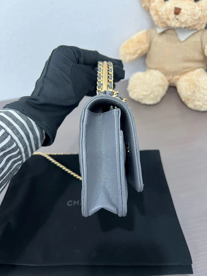 CHANEL Gray Metal Handle WOC Crossbody Bag For Women