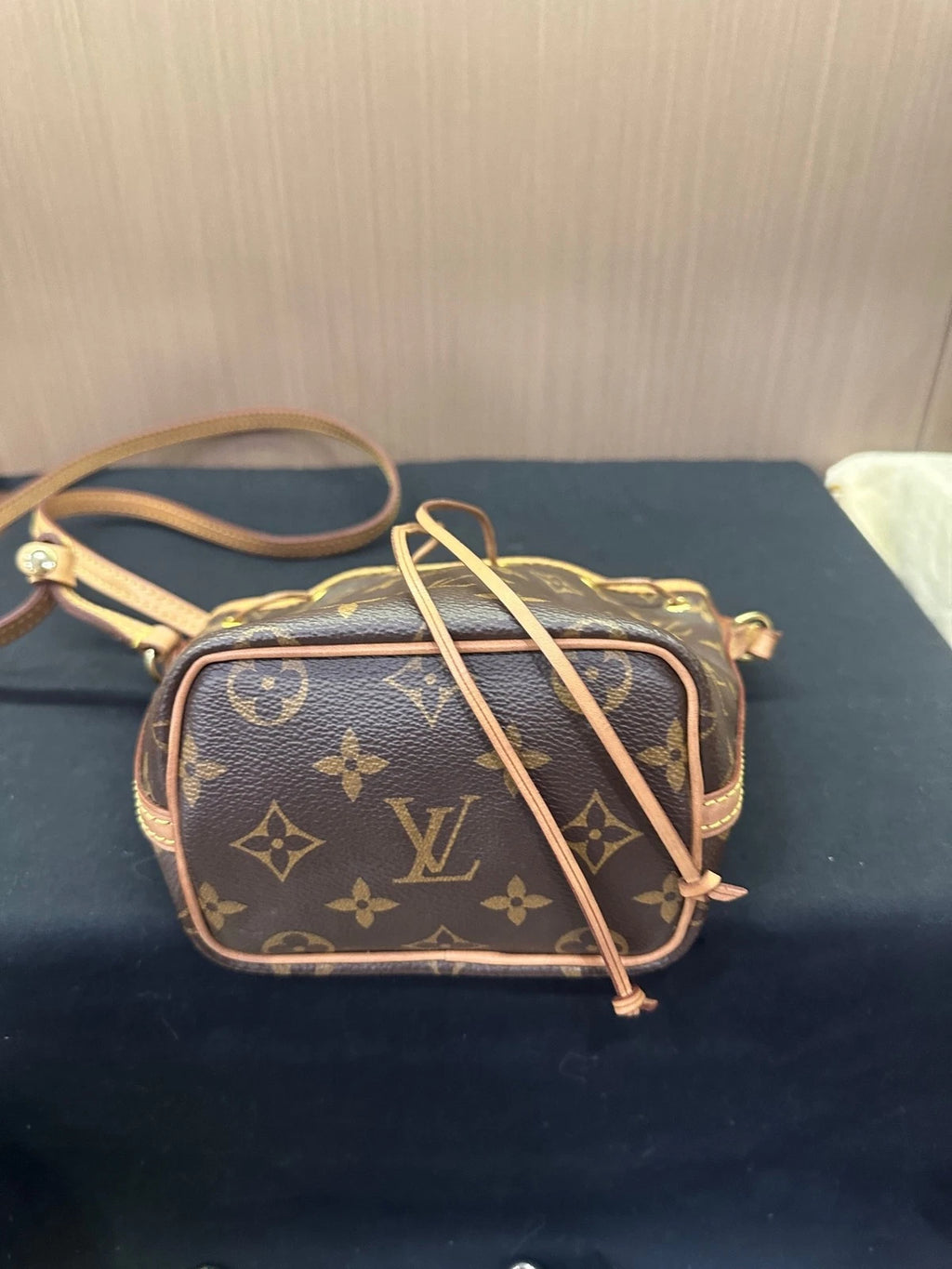 Louis Vuitton Nano Noe Monogram Canvas Bucket Bag for Women