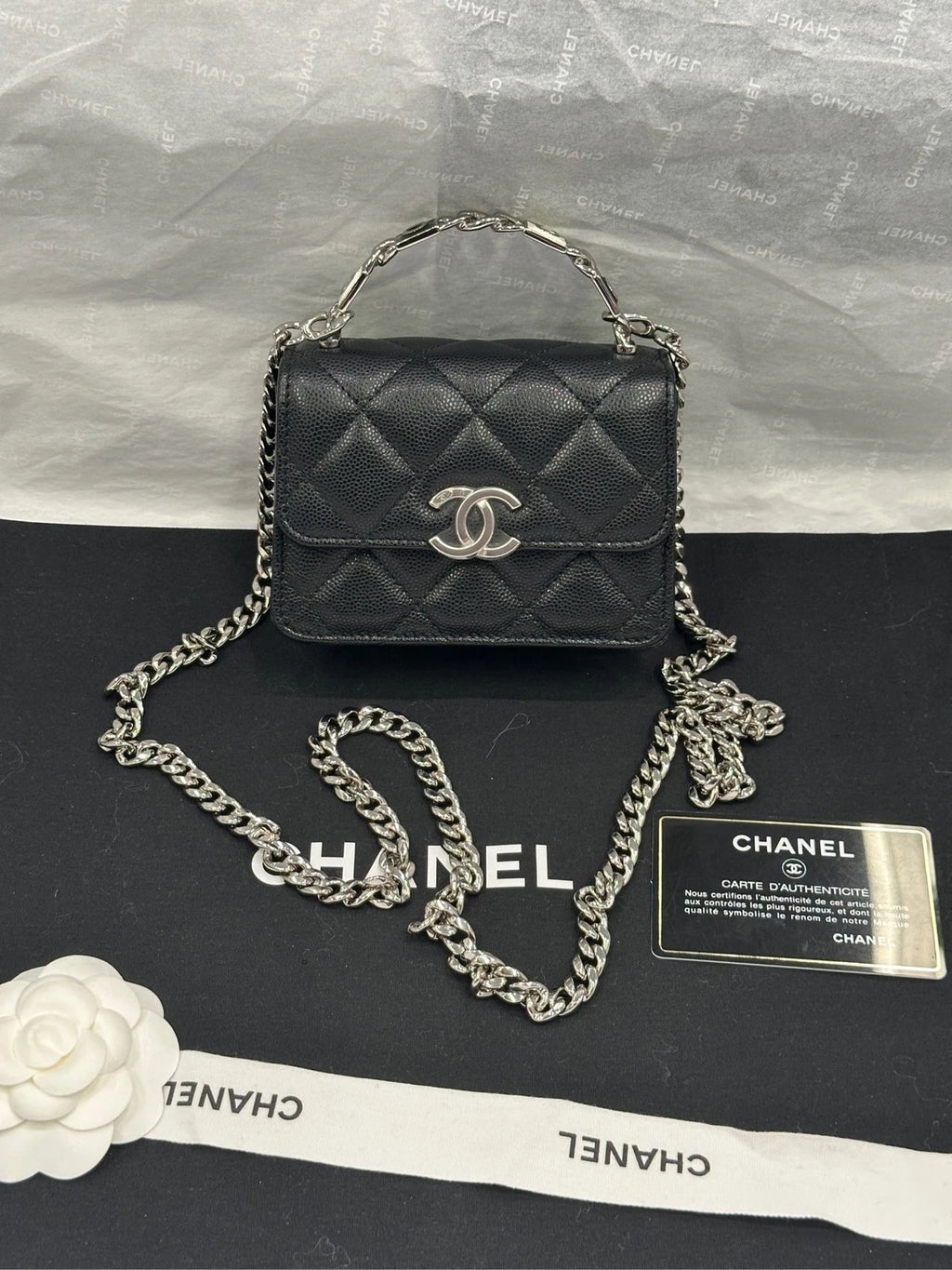 CHANEL Mini WOC Enamel Top Handle Leather Bag For Women