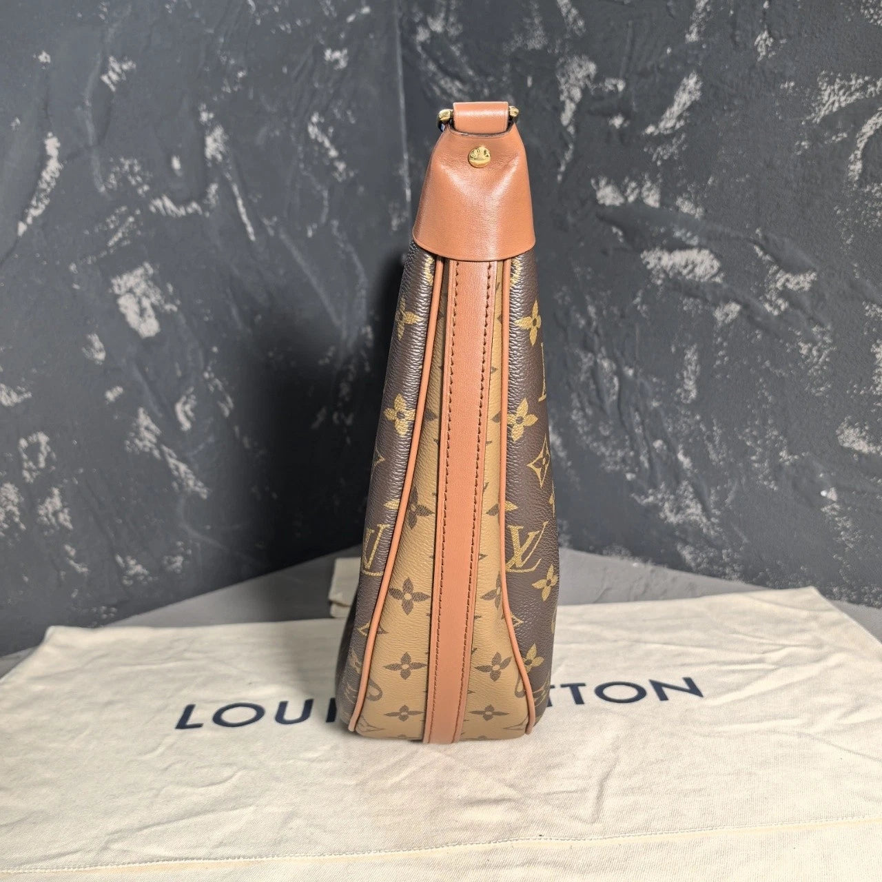 Louis Vuitton Canvas Moon Shoulder Bag For Women