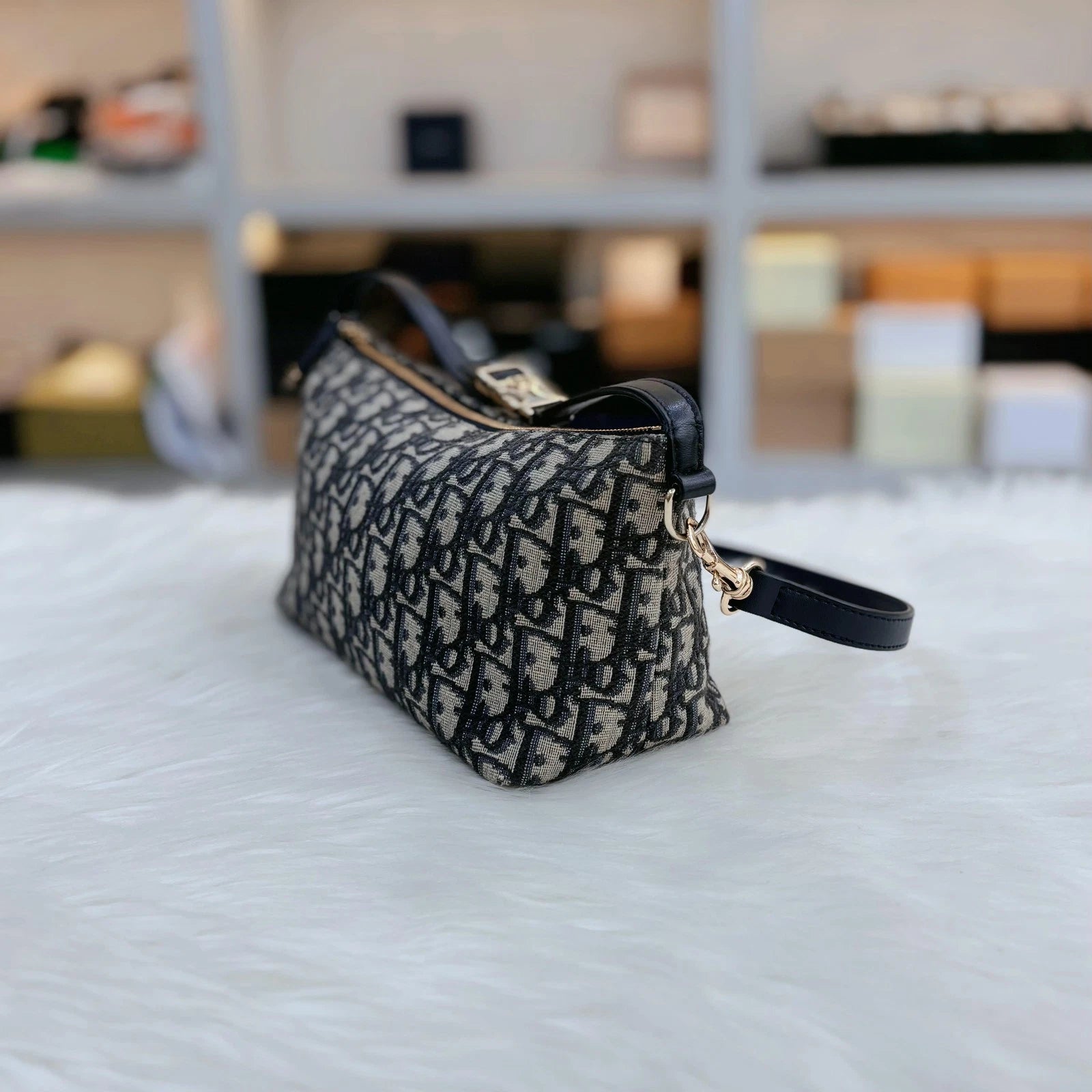 Dior Oblique Embroidered Canvas Lunch Box Bag For Women