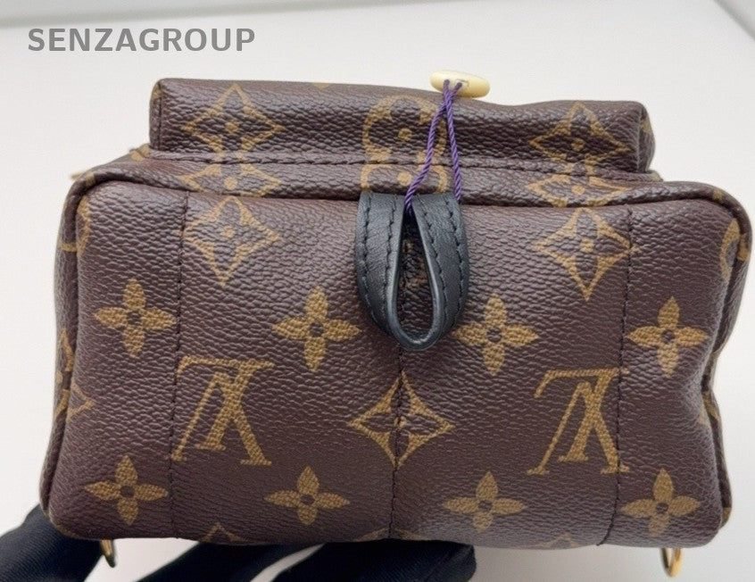 Louis Vuitton Palm Springs Monogram Backpack Women Brown