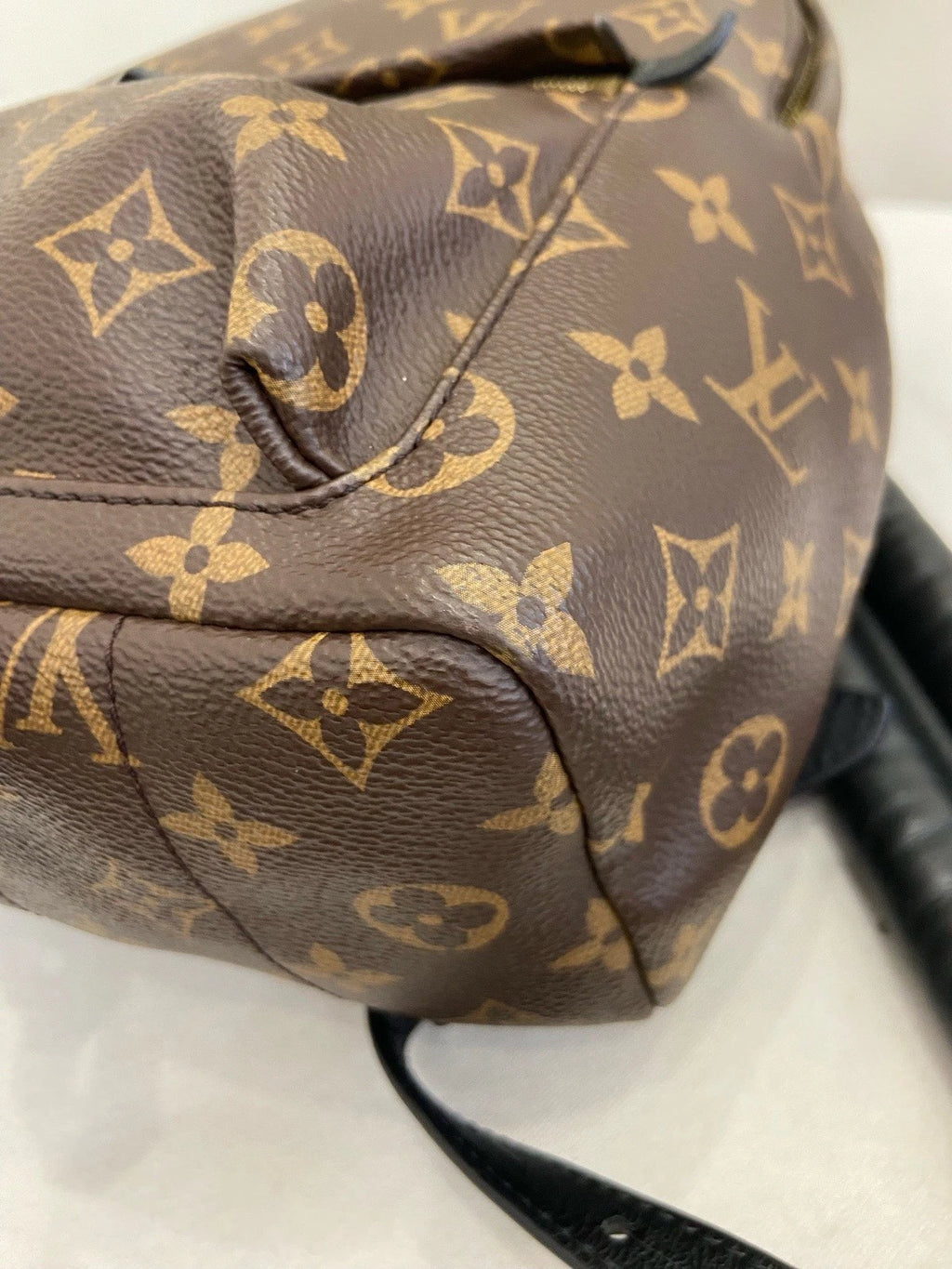 Louis Vuitton Palm Springs PM Monogram Backpack Brown Gold Unisex Adults Classic