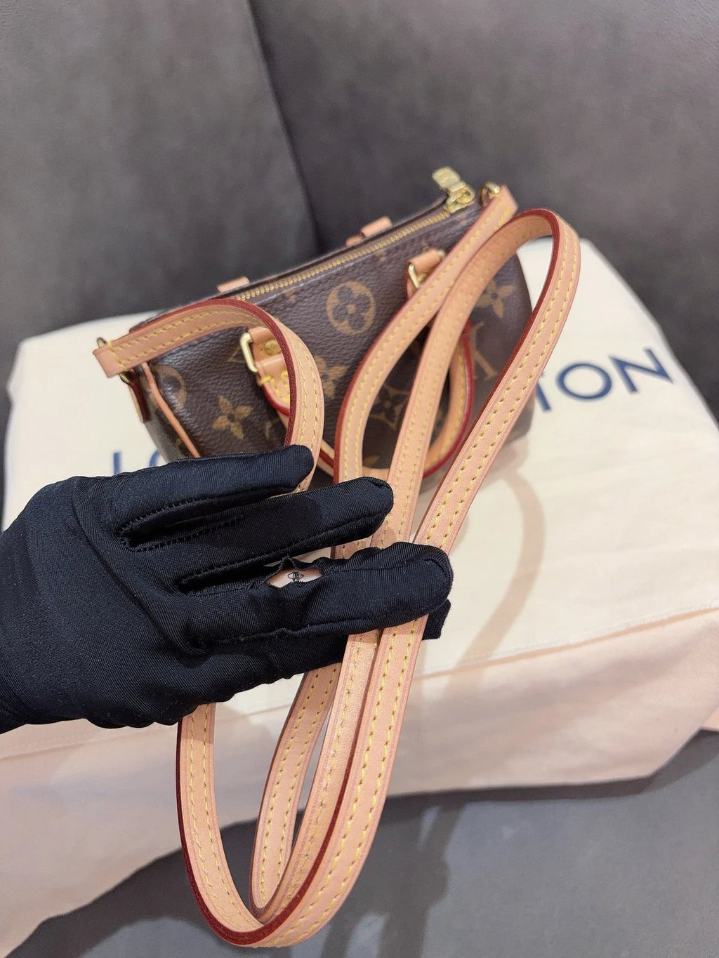 Louis Vuitton Speedy Nano Top Handle Shoulder Crossbody Bag Brown Women