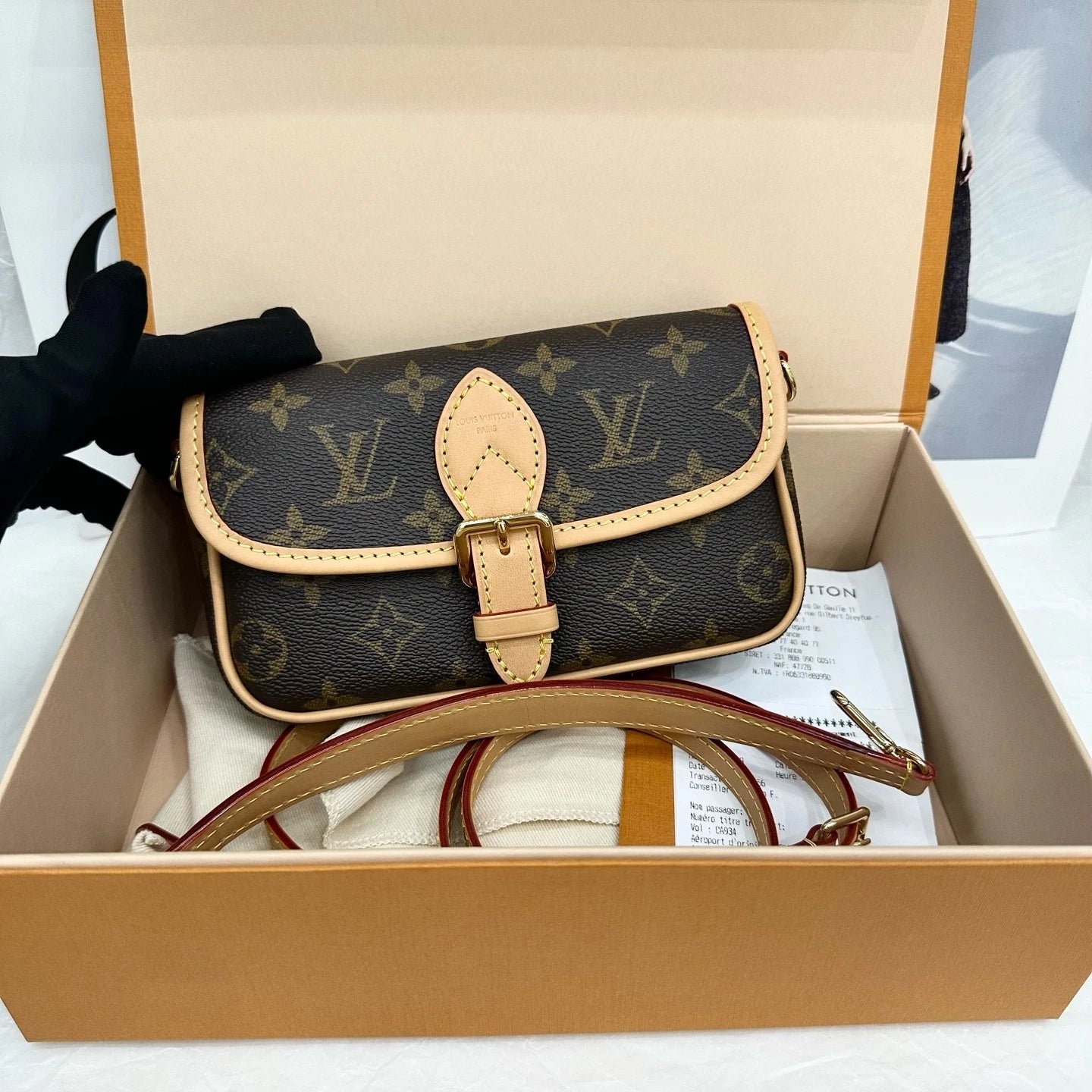 Louis Vuitton Monogram Canvas Diane Nano Shoulder Bag For Women