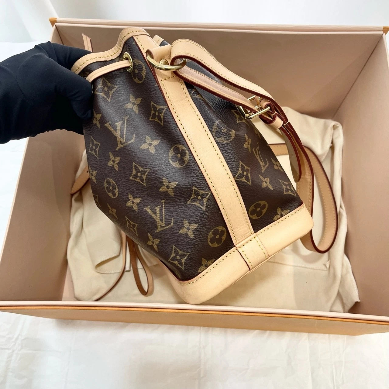 Louis Vuitton Canvas Noe BB Bucket Bag for Women