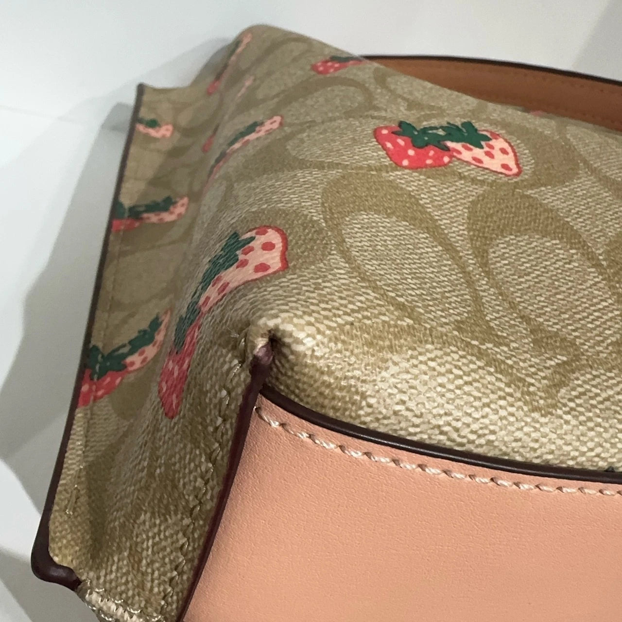 Coach Women's Strawberry Print Canvas Bucket Crossbody Shoulder Bag