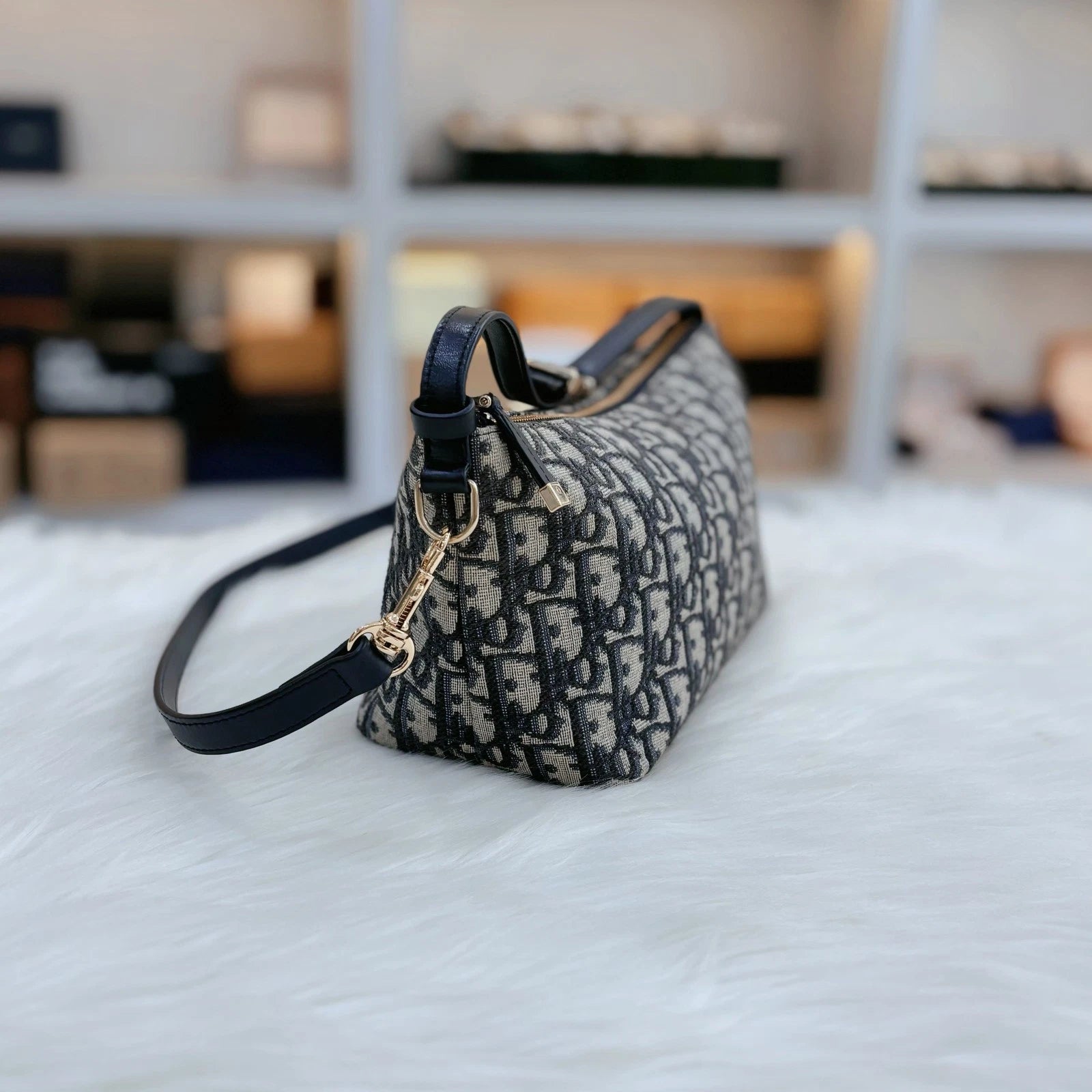 Dior Oblique Embroidered Canvas Lunch Box Bag For Women