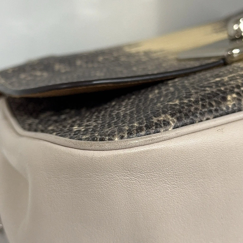 Coach 2019 Limited Lizard Pattern Chain Shoulder Crossbody Bag For Women