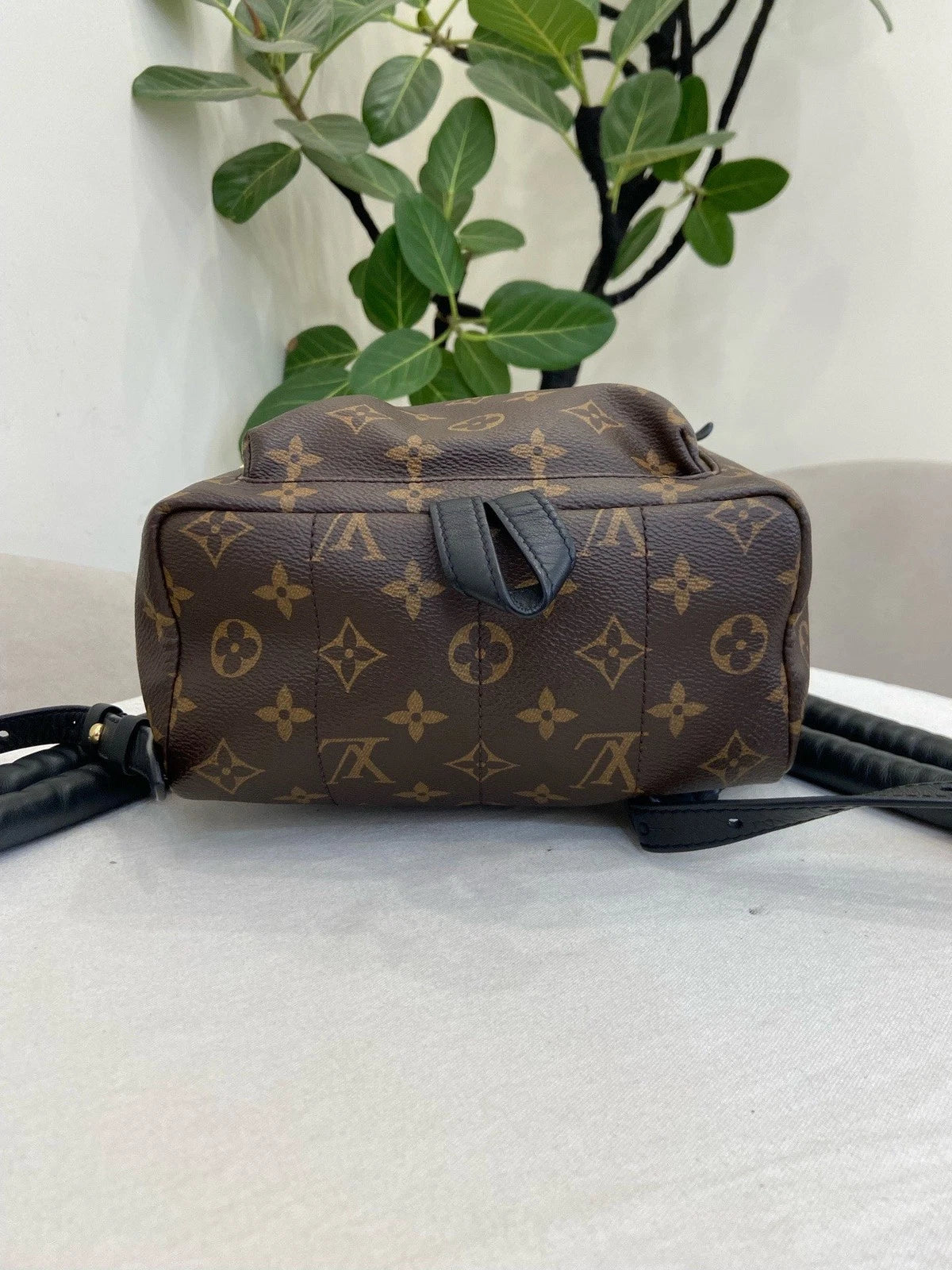 Louis Vuitton Palm Springs PM Monogram Backpack Brown Gold Unisex Adults Classic