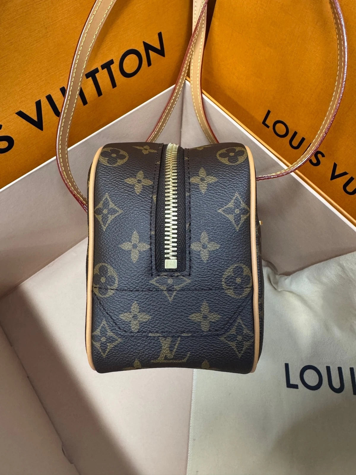 Louis Vuitton Women Canvas Open Smile Toast Tote Bag