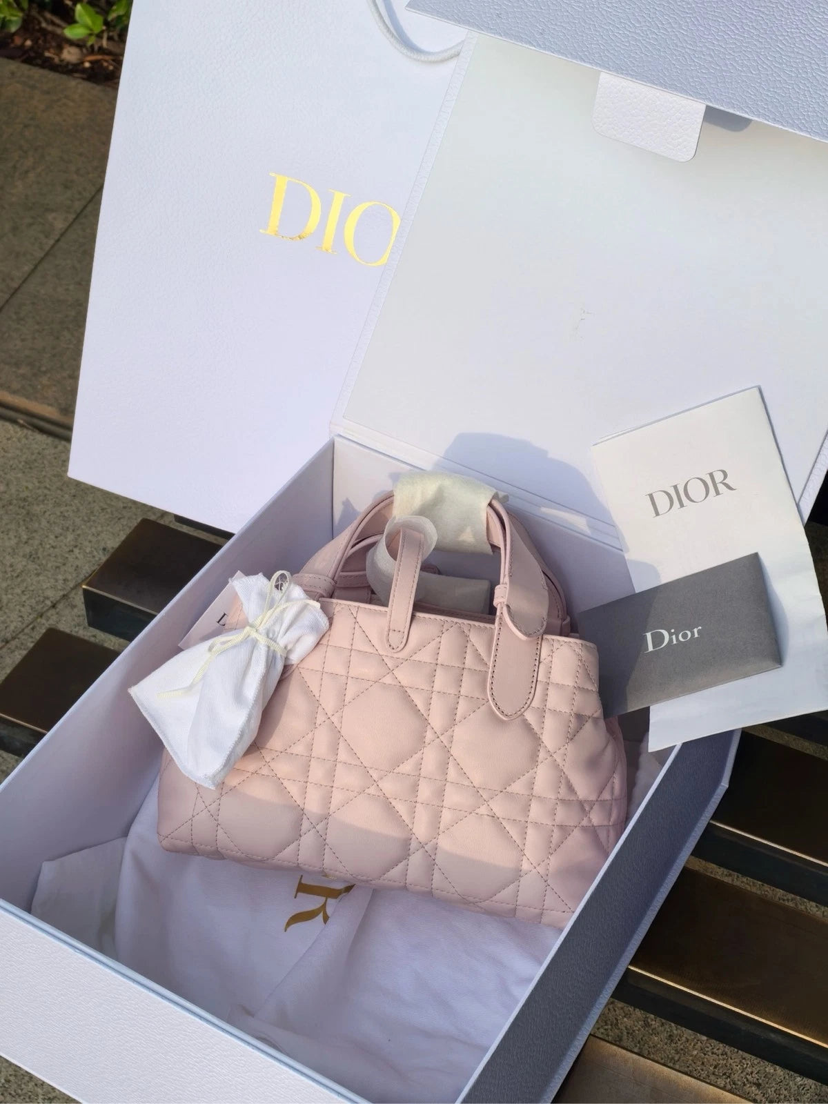 Dior Toujours Small Horizontal Pink Shoulder Bag For Women