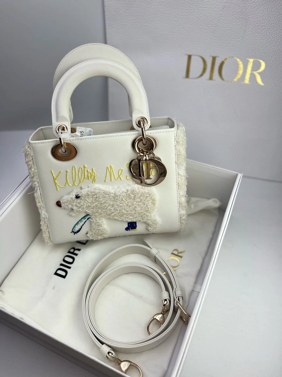 Dior Lady Dior Artist Limited Edition Ruby Handbag For Women