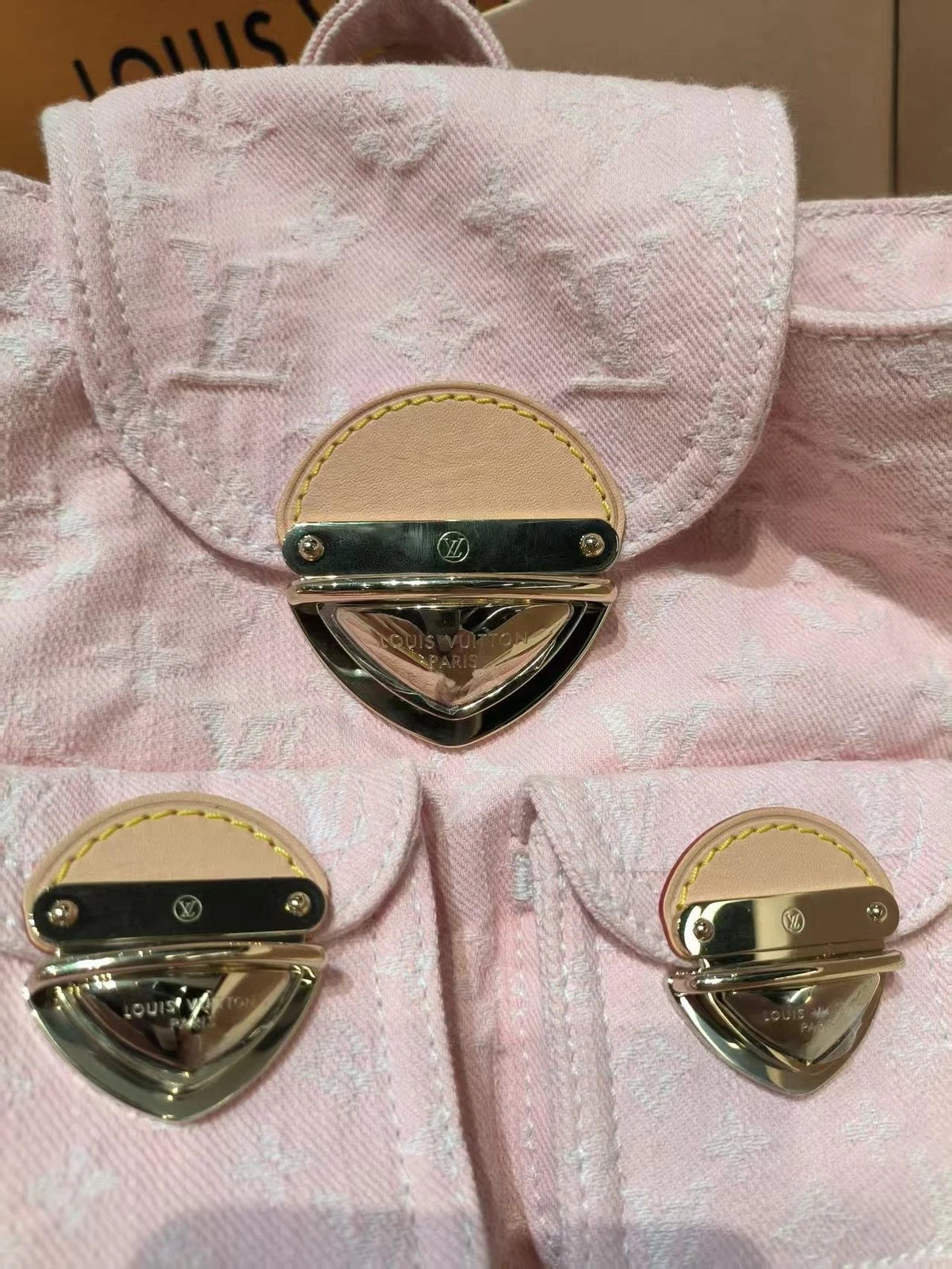 Louis Vuitton Venice Pink Denim Backpack for Women