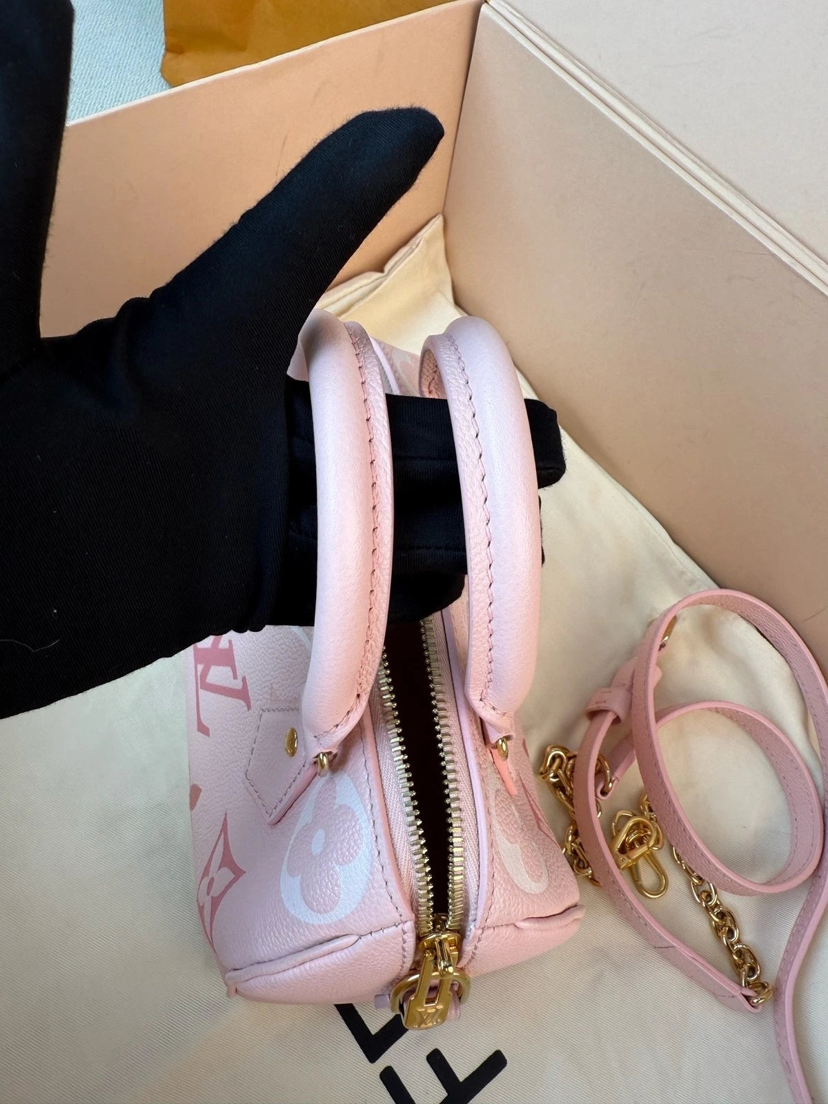 Louis Vuitton Speedy 20 Strawberry Ice Cream Handbag Women