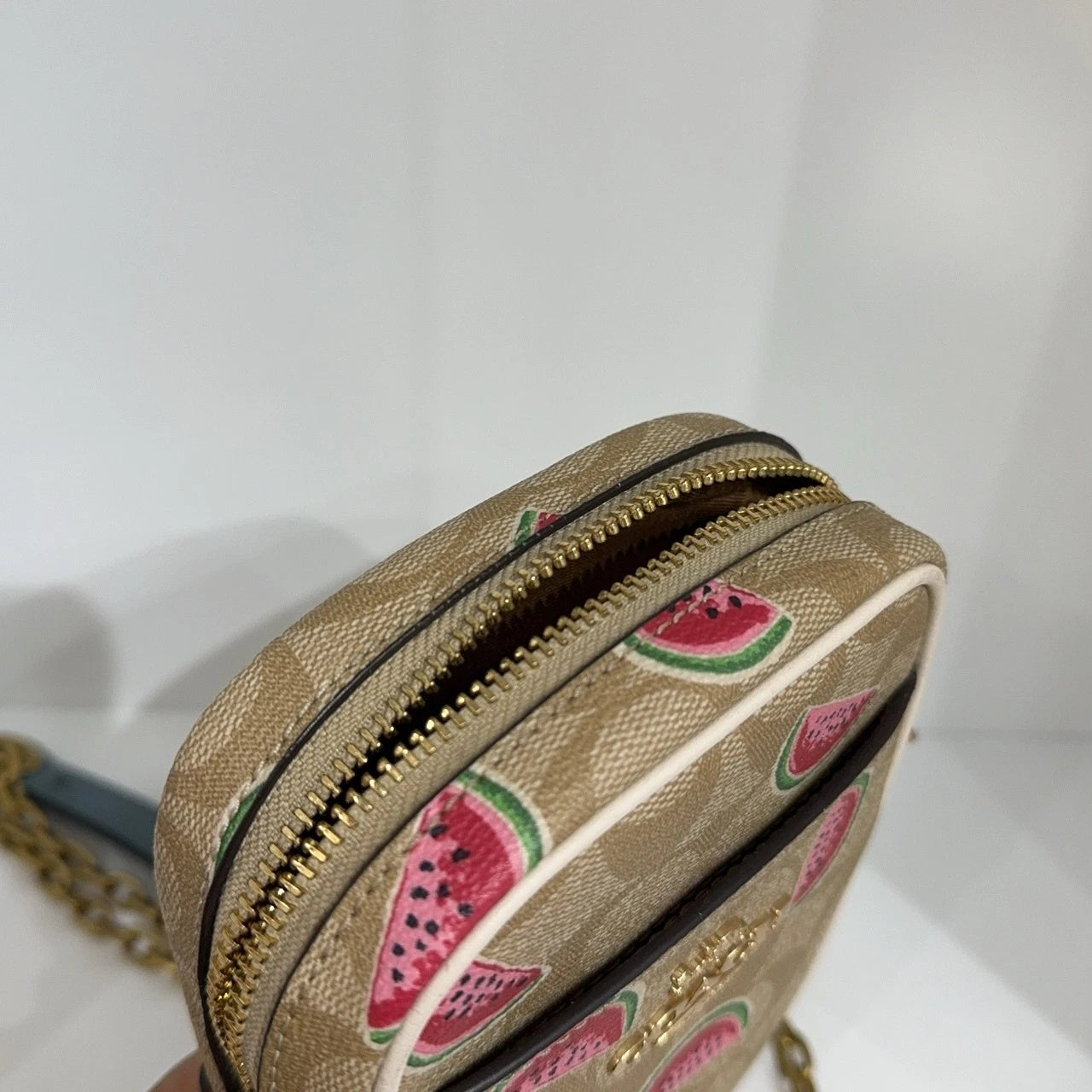Coach Beige Canvas Monogram Watermelon Print Crossbody Camera Bag Women