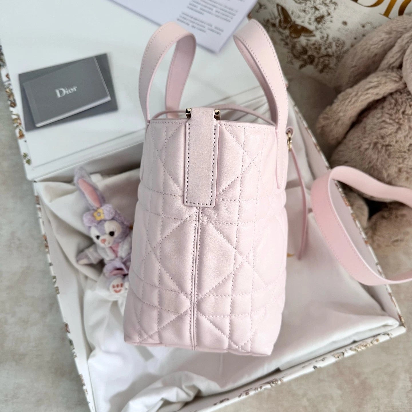 New Dior Toujours Vertical Small Sakura Pink Bag For Women