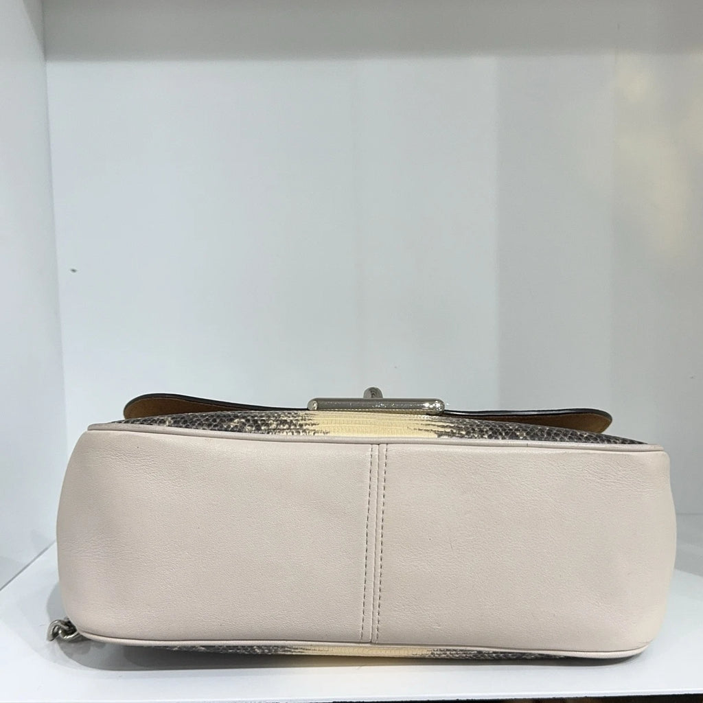 Coach 2019 Limited Lizard Pattern Chain Shoulder Crossbody Bag For Women
