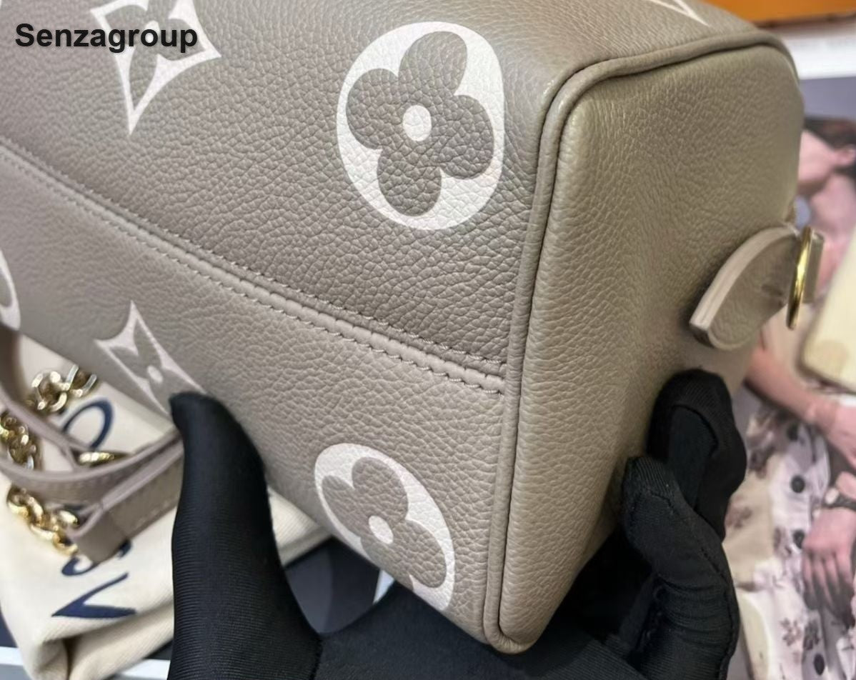 Louis Vuitton Speedy20 Monogram Top Handle Crossbody Gray Gold Women Classic