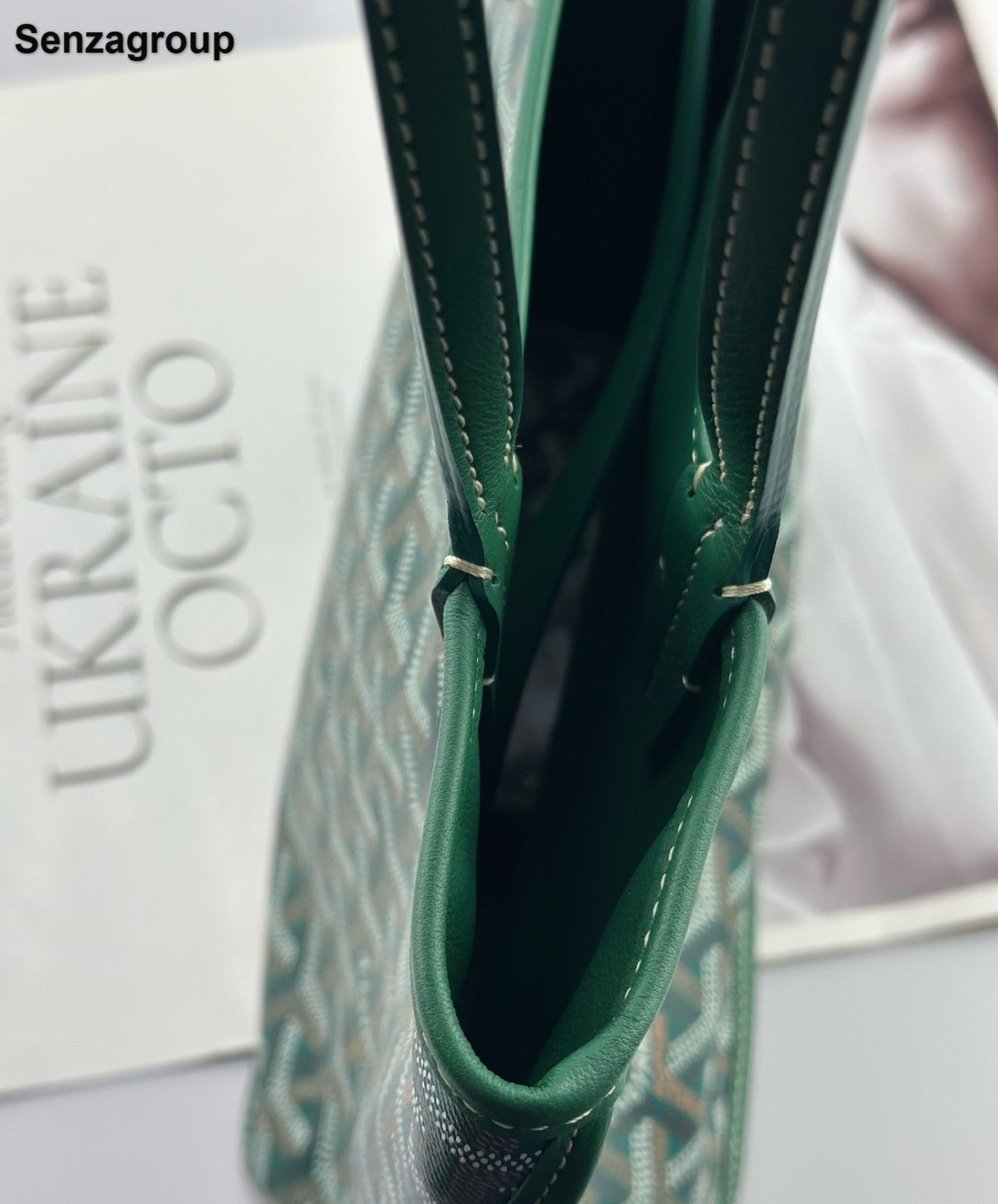 Goyard Anjou Mini Tote Top Handle Shoulder Bag Green Used Women Classic