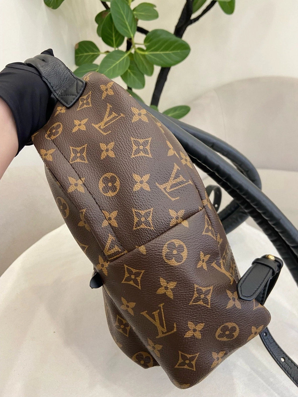 Louis Vuitton Palm Springs PM Monogram Backpack Brown Gold Unisex Adults Classic